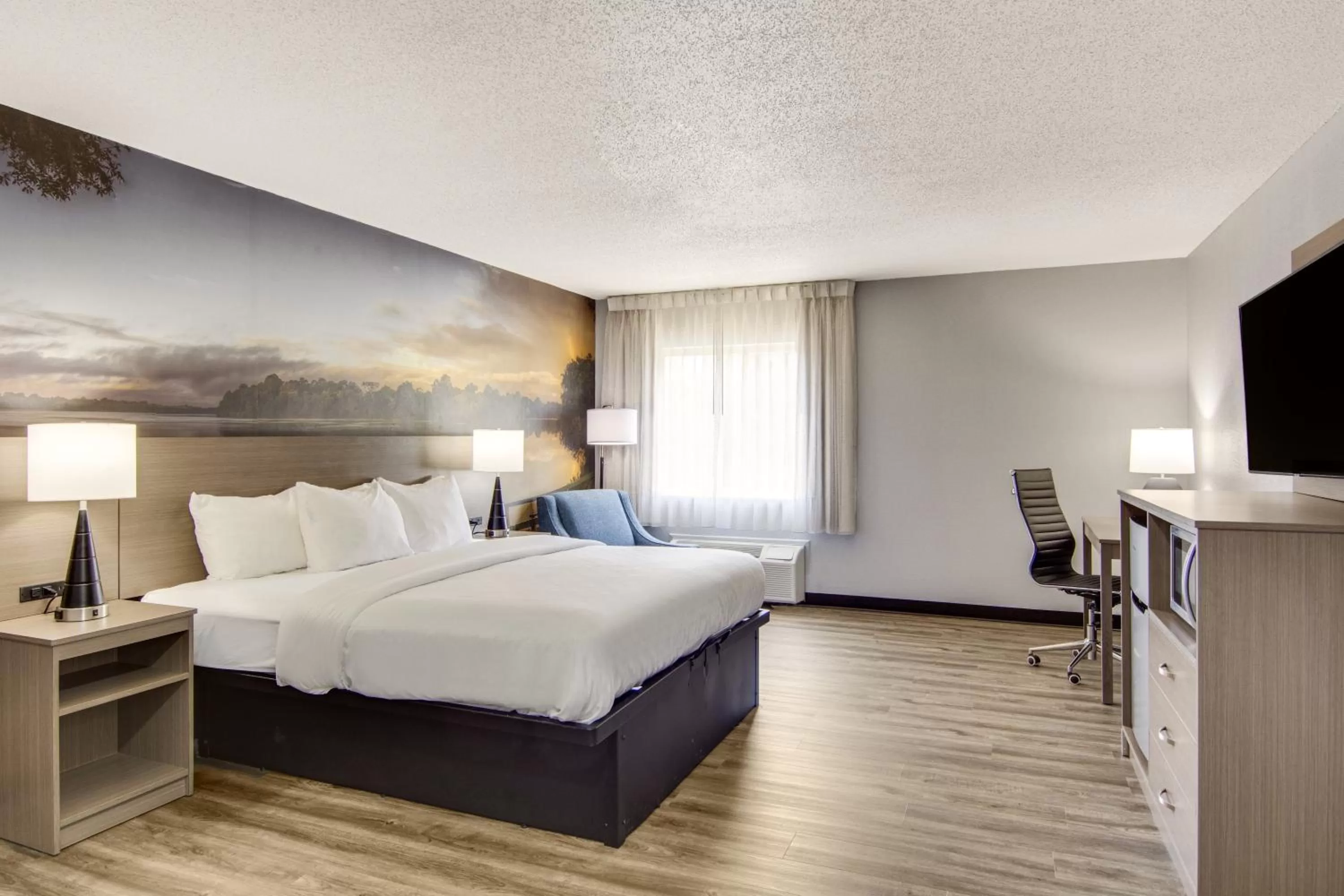 Standard King Room - Non Smoking in Clarion Pointe on the lake Clarksville-South Hill West