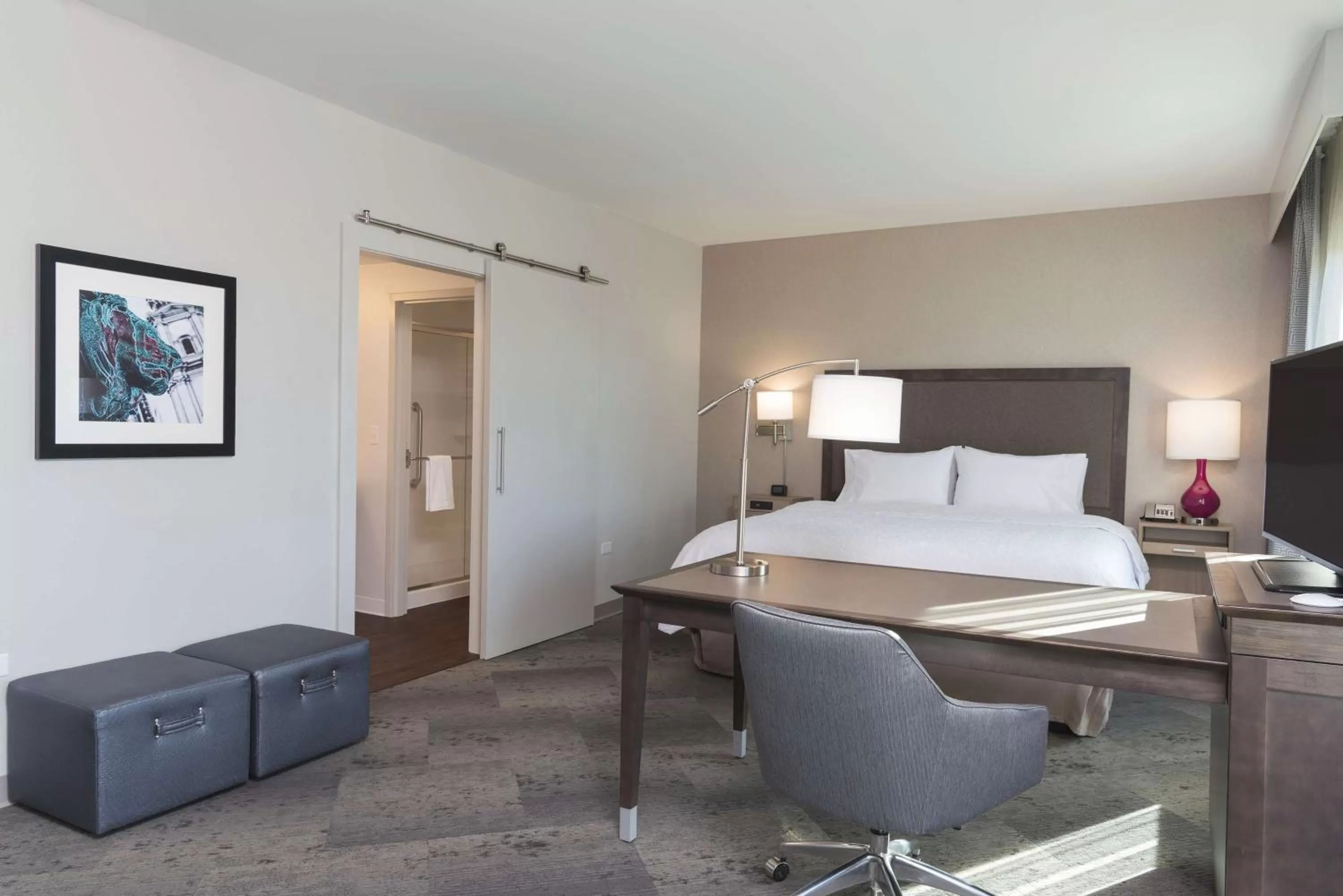 King Studio Suite - Non-Smoking in Hampton Inn & Suites by Hilton Chicago Schaumburg IL