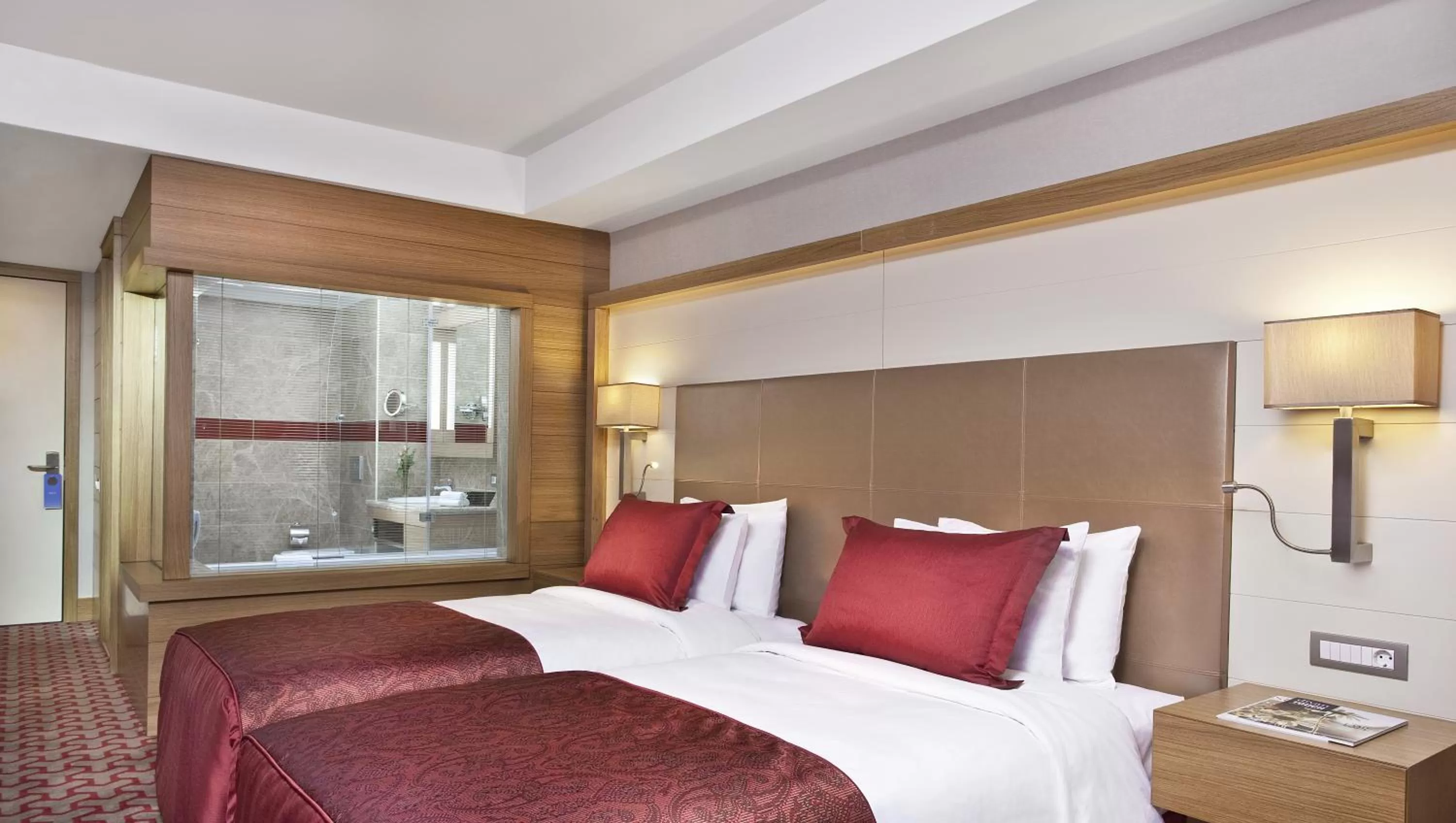 Superior Twin Room with City View in Divan Bursa