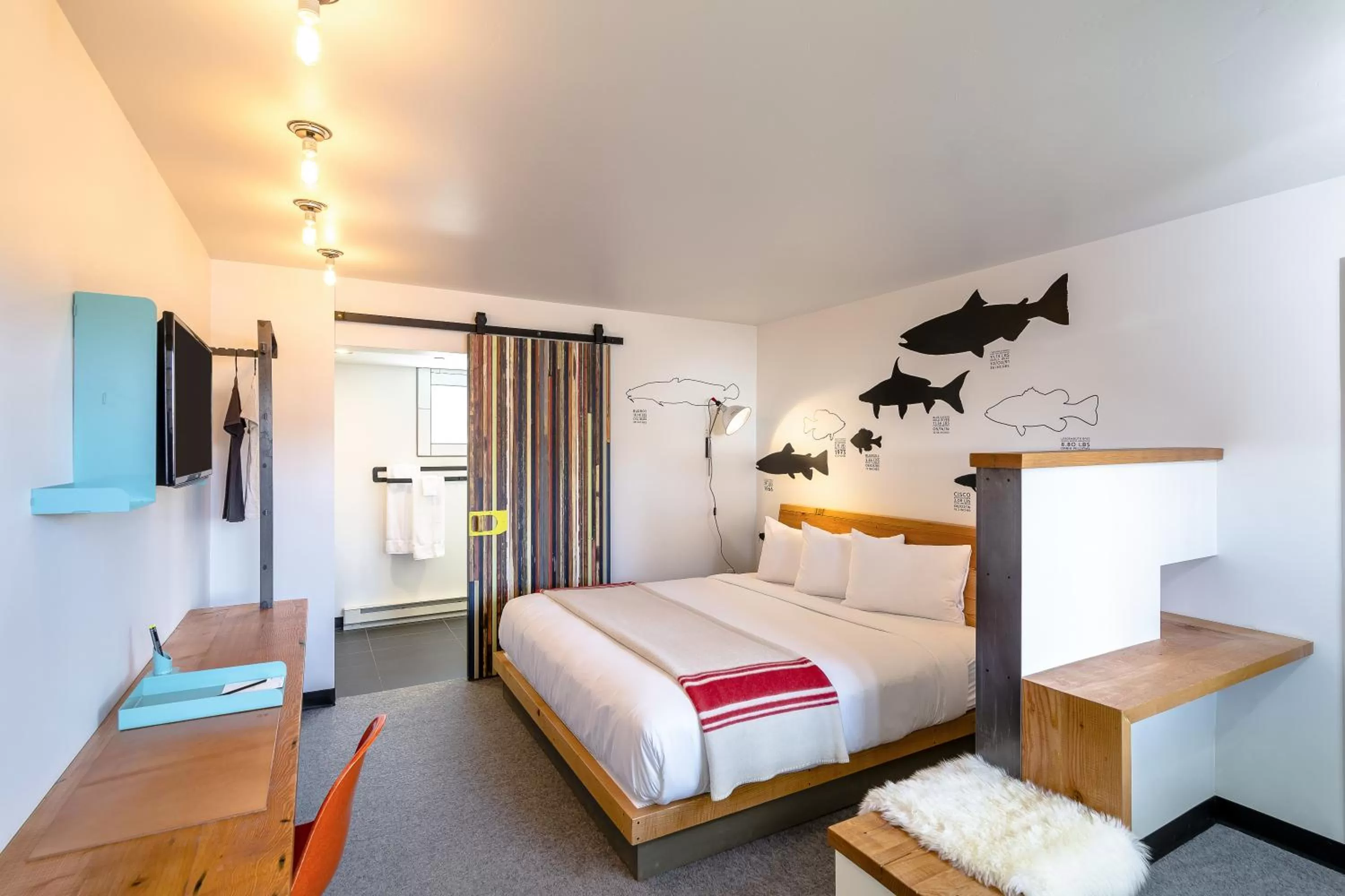 Single Room in The LARK