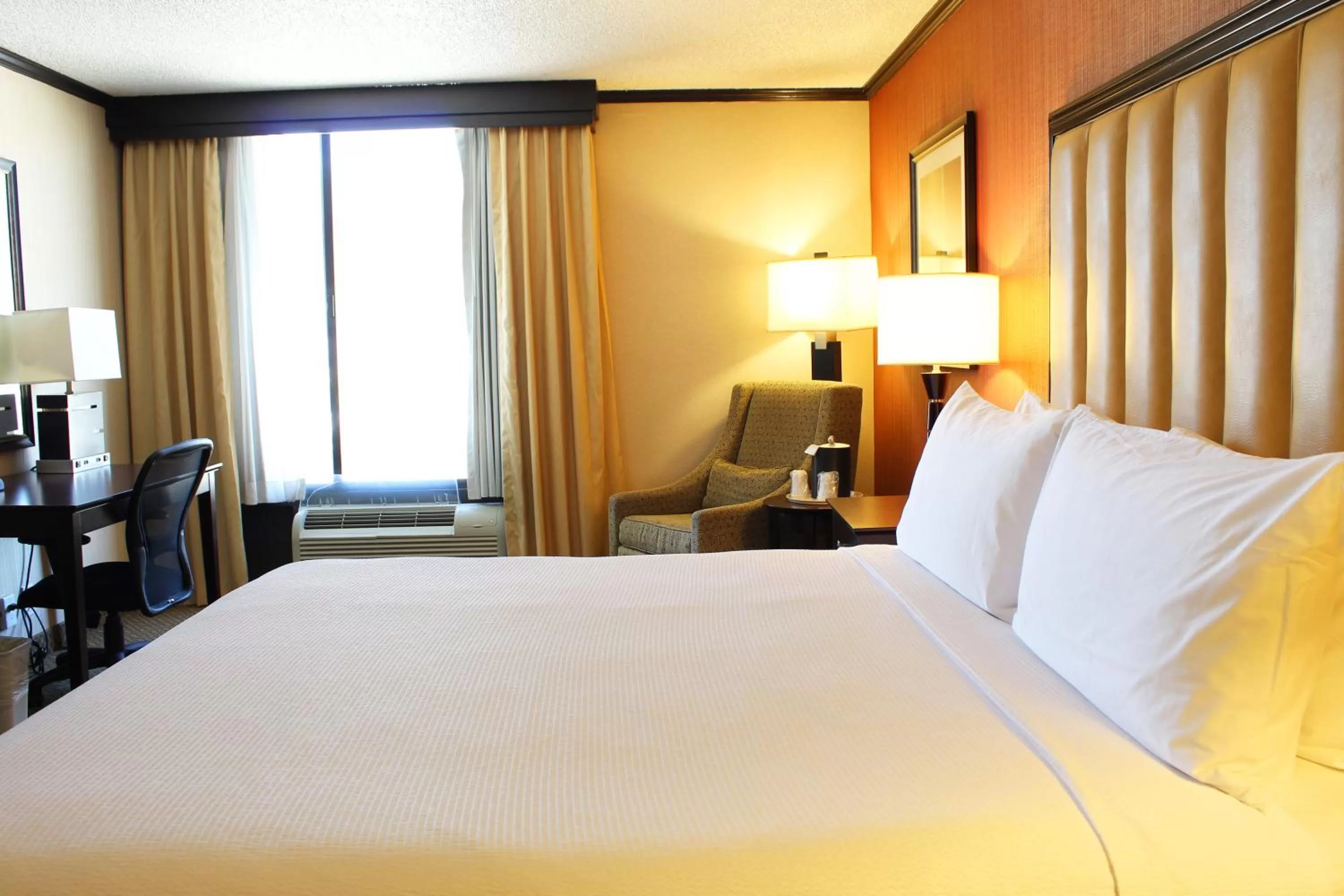 Superior King Room in Hotel Burbank