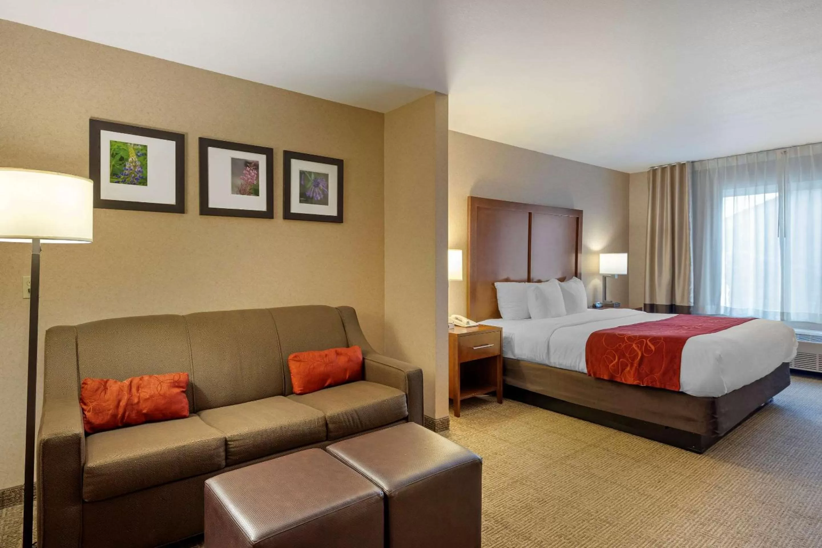 King Suite - Disability Access/Non-Smoking in Comfort Suites Anchorage International Airport