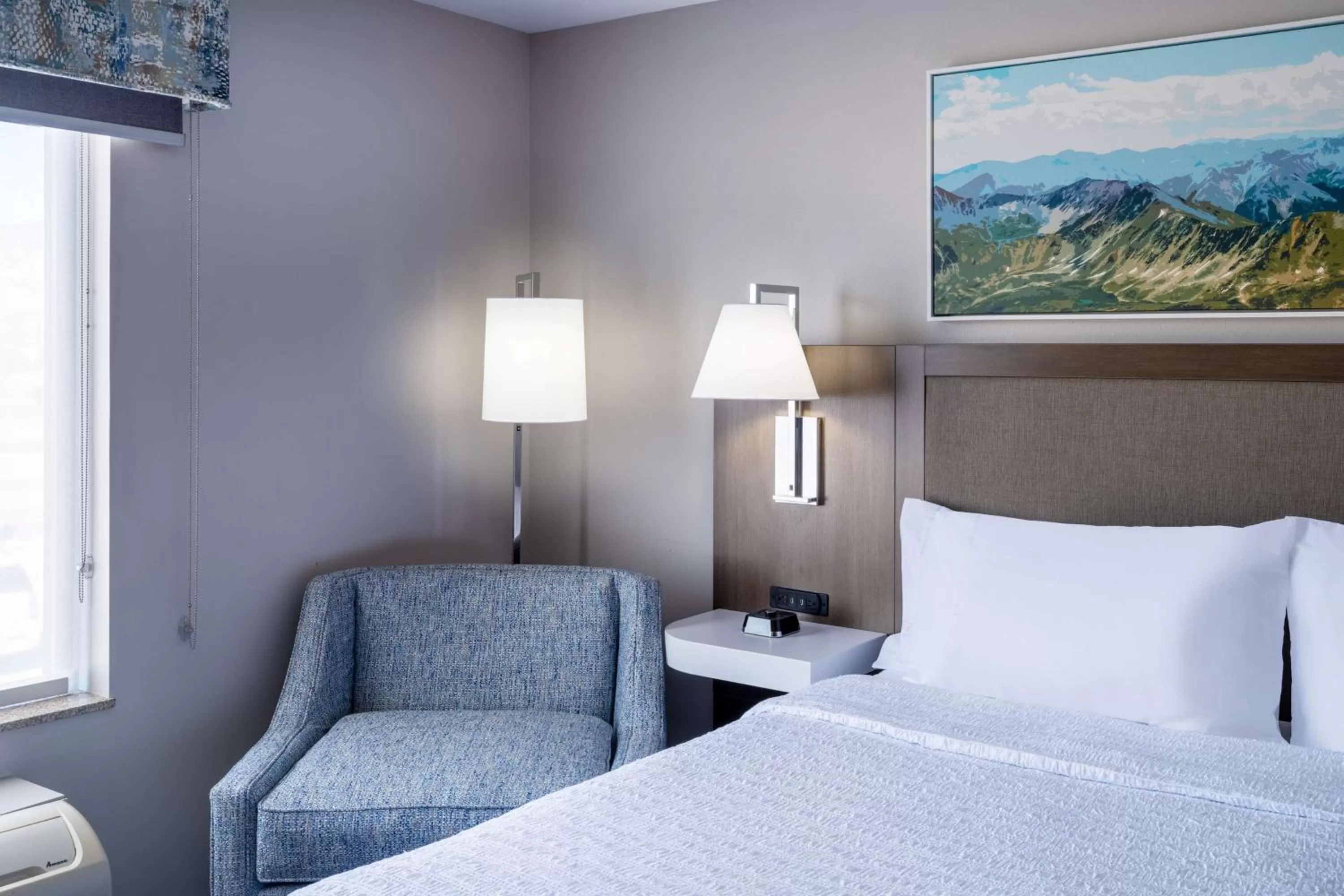 King Room with Mobility/Hearing Access and Roll In Shower in Hampton Inn & Suites Salida, CO