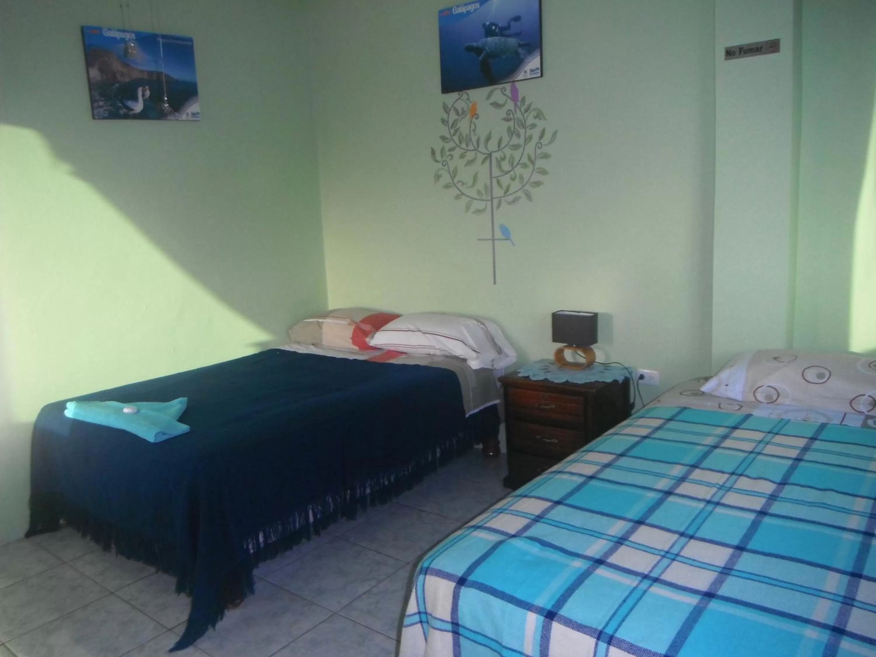 Family Room - single occupancy in Casa de Celeste