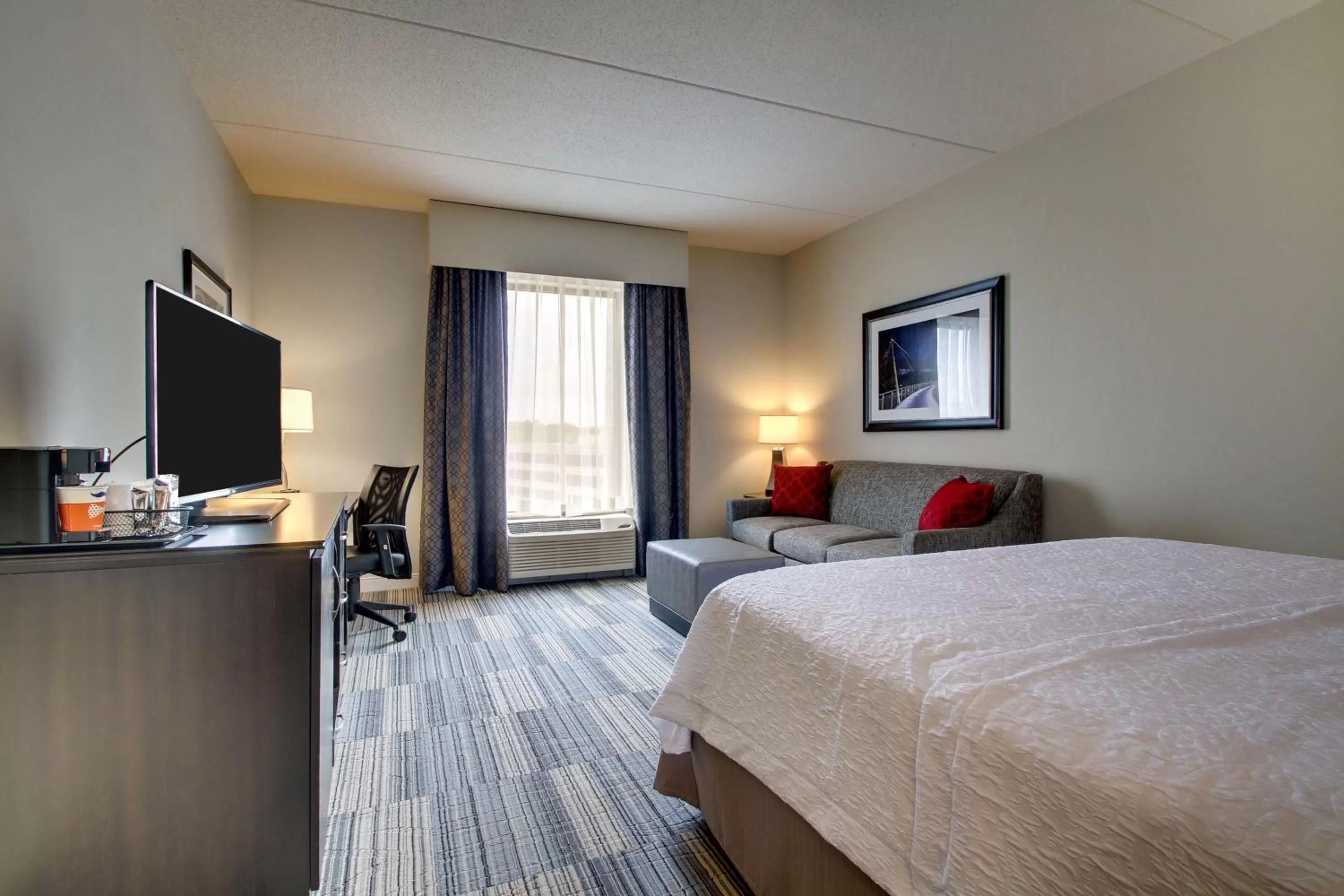 Premium King Room with Sofa Bed - Non-Smoking in Hampton Inn & Suites Greenville Airport