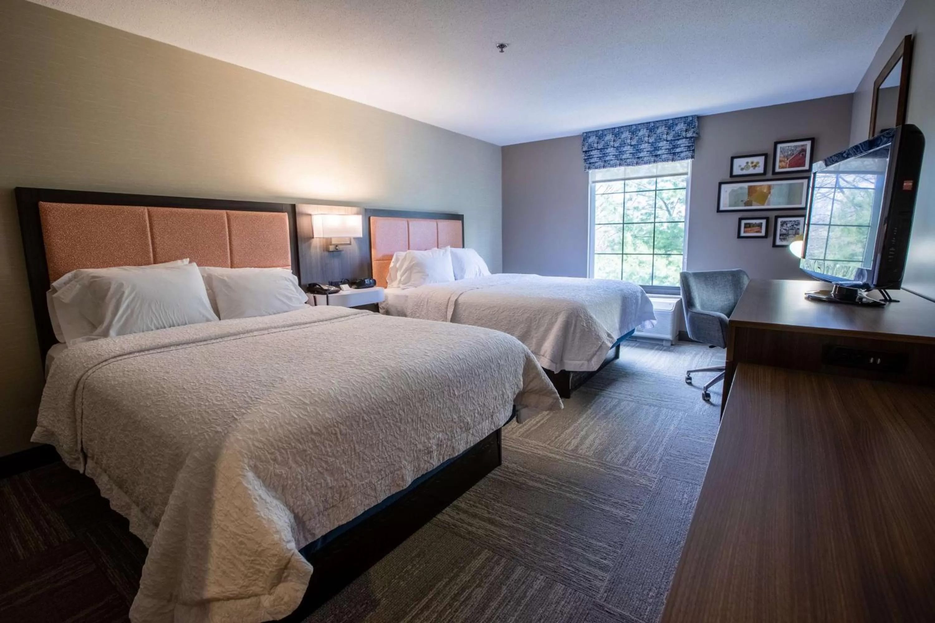 Room with Two Queen Beds - Non-Smoking in Hampton Inn Hadley-Amherst Area