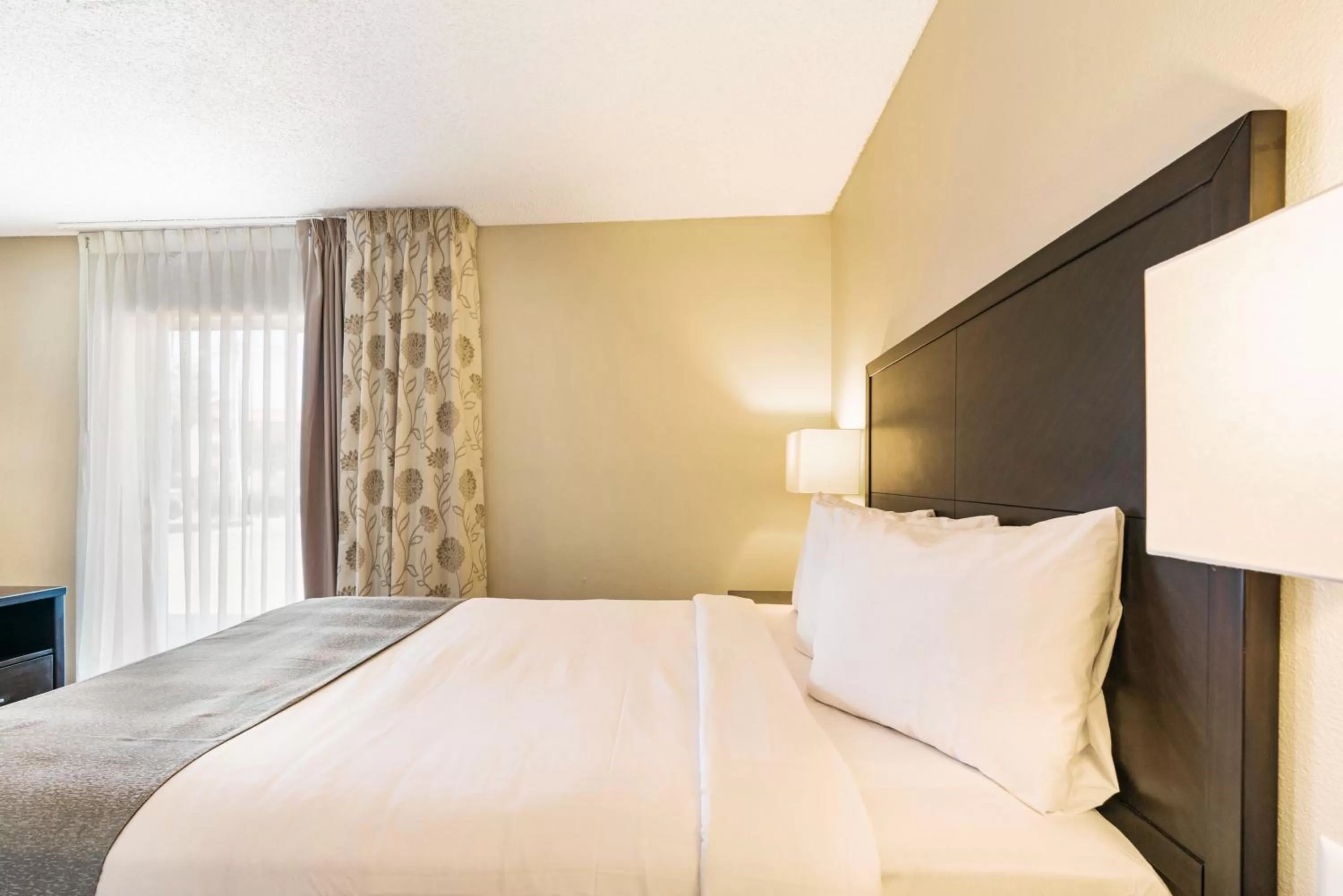 Deluxe Queen Studio  in Chase Suite El Paso