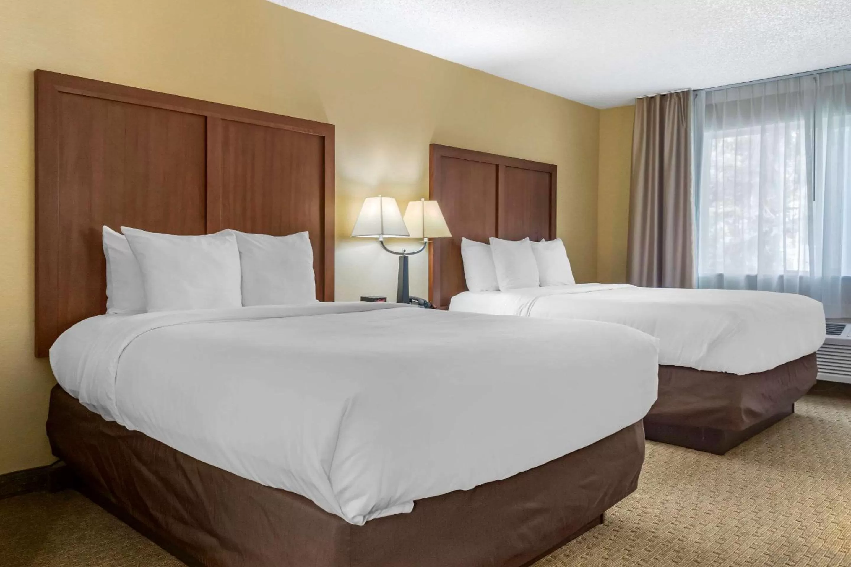 Queen Room with Two Queen Beds - Non-Smoking in Comfort Inn & Suites Bothell - Seattle North