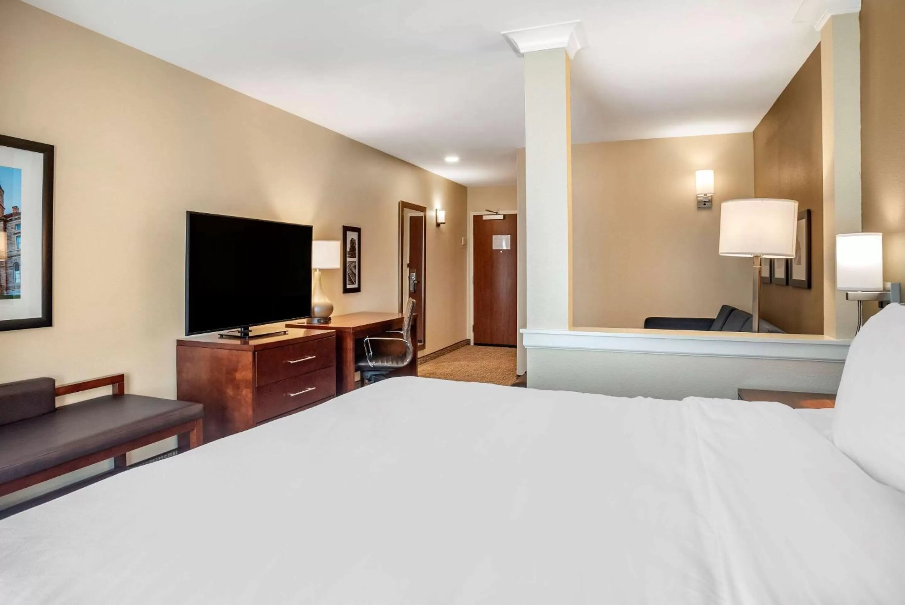 King Suite with Sofa Bed - Non Smoking in Comfort Inn & Suites