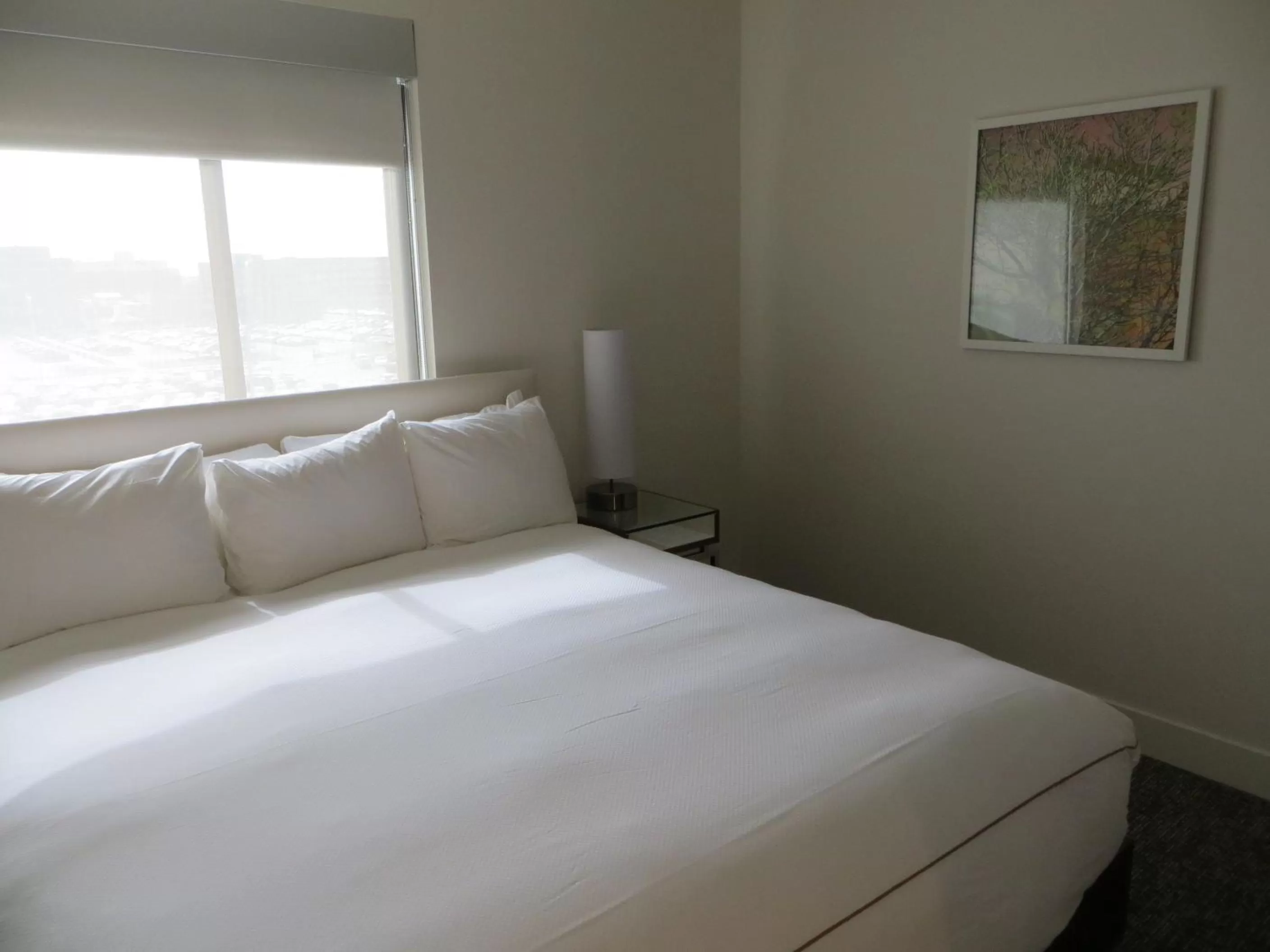 Two-Bedroom Residence Suite - Accessible in The Alexander