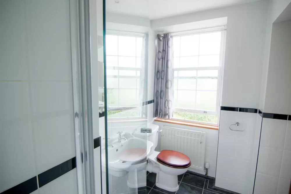 Double or Twin Room with Shower - single occupancy in The Red Pump Inn