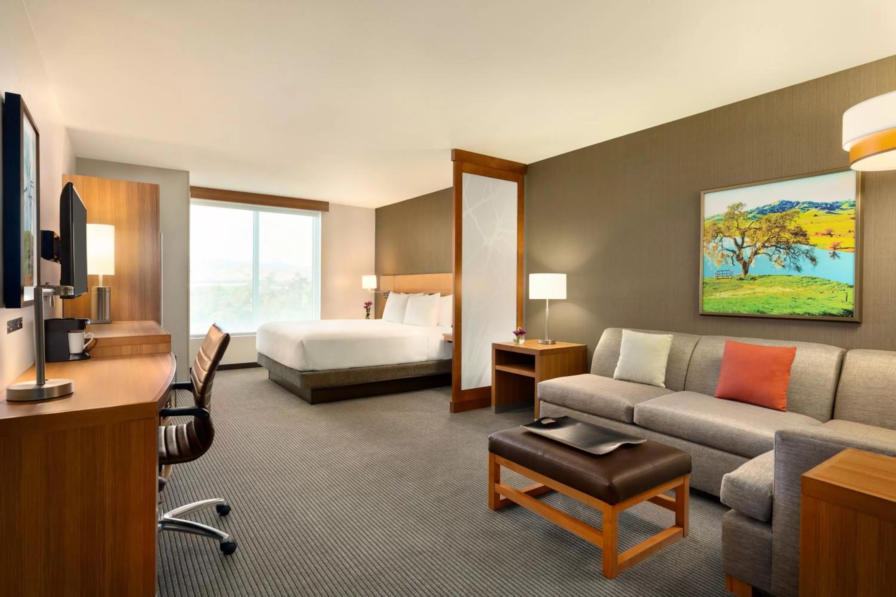 King Suite with Sofa Bed and Roll-In Shower - Disability Access in Hyatt Place Vacaville