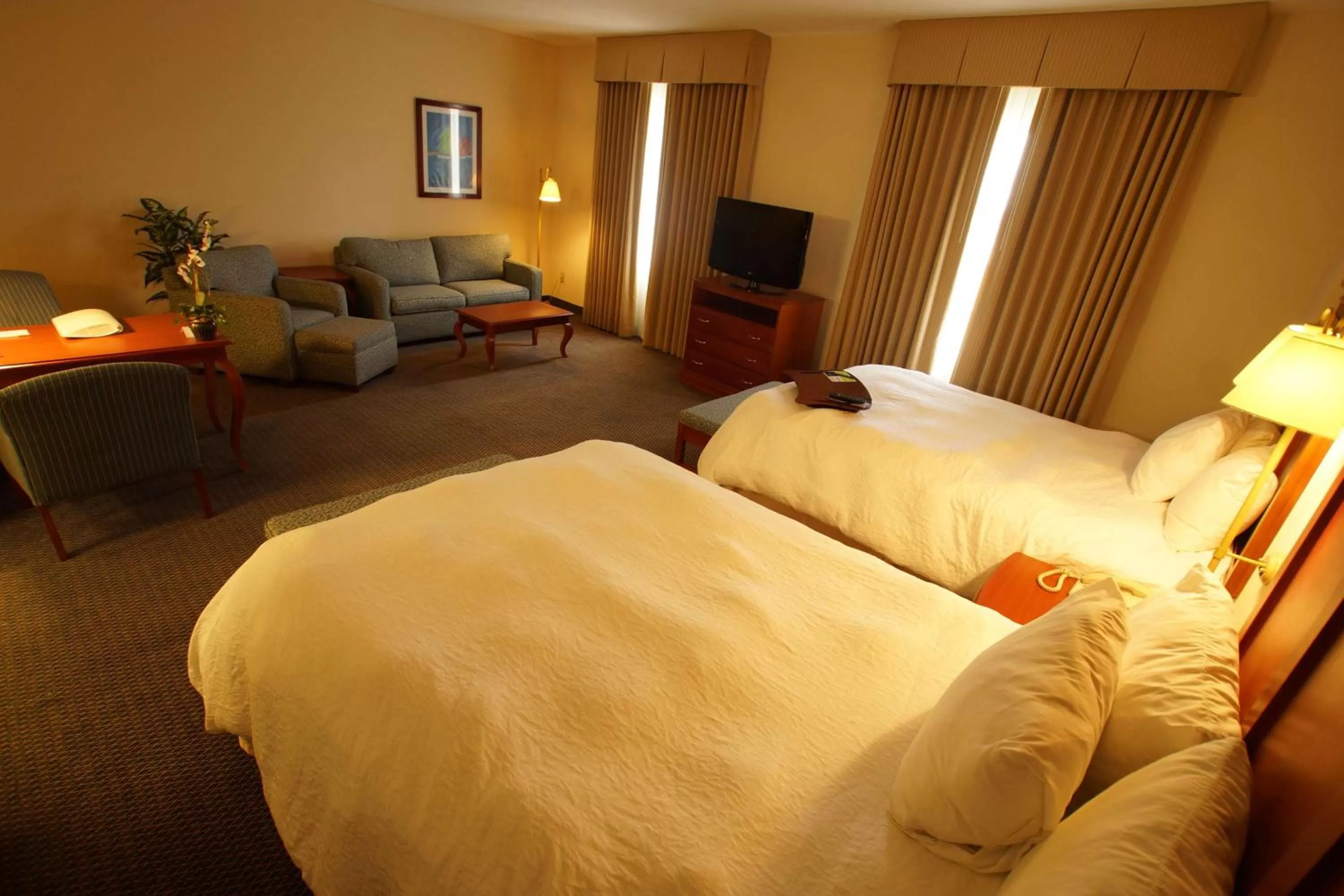 Queen Studio Suite with Two Queen Beds - Non-Smoking in Hampton Inn Tampico Airport