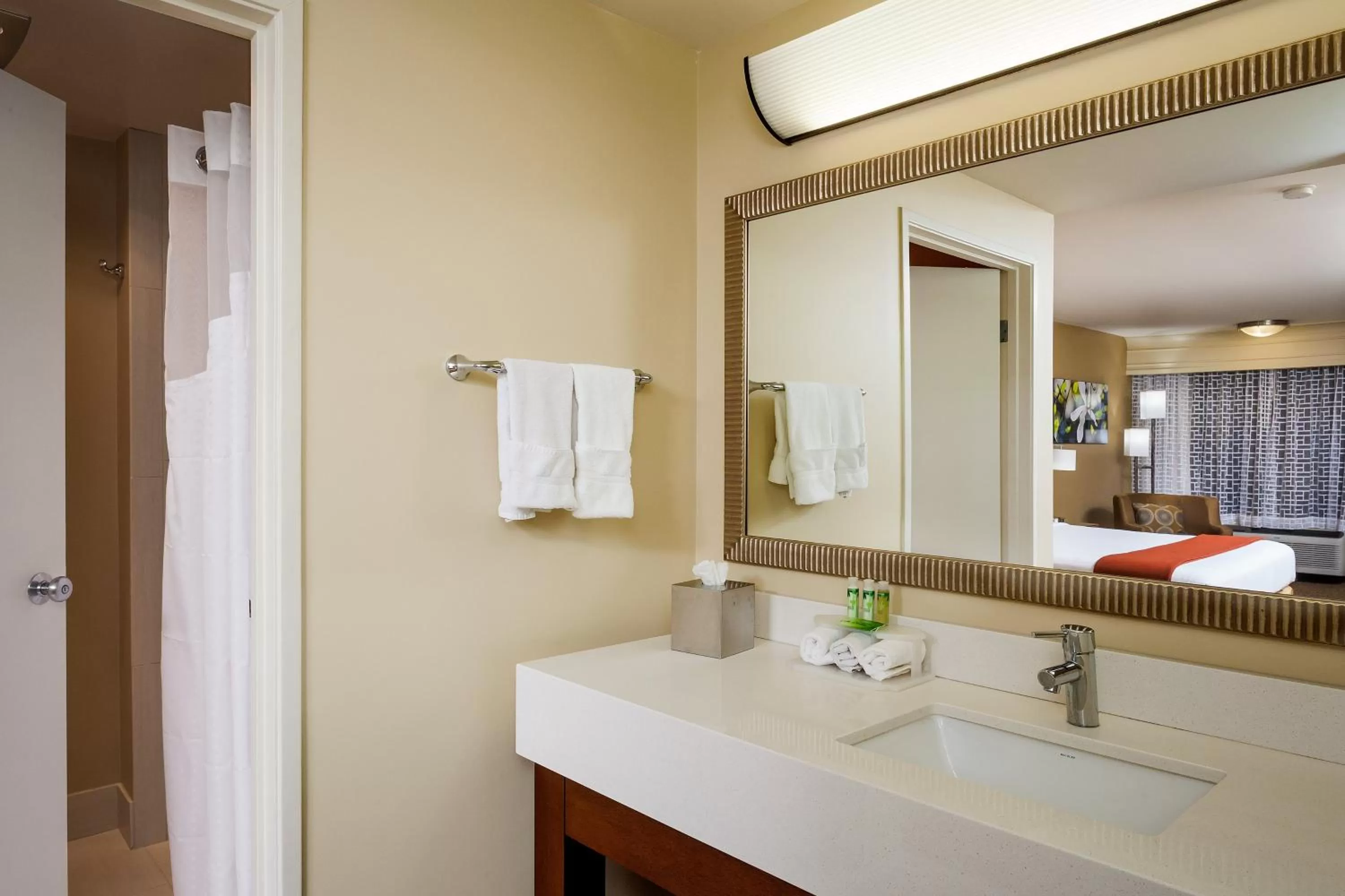 One-Bedroom Suite - Non-Smoking in Holiday Inn Express Simi Valley, an IHG Hotel
