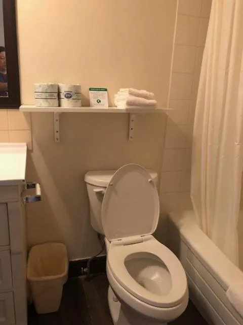 Studio King Suite- Non-Smoking in Thriftlodge Edmonton