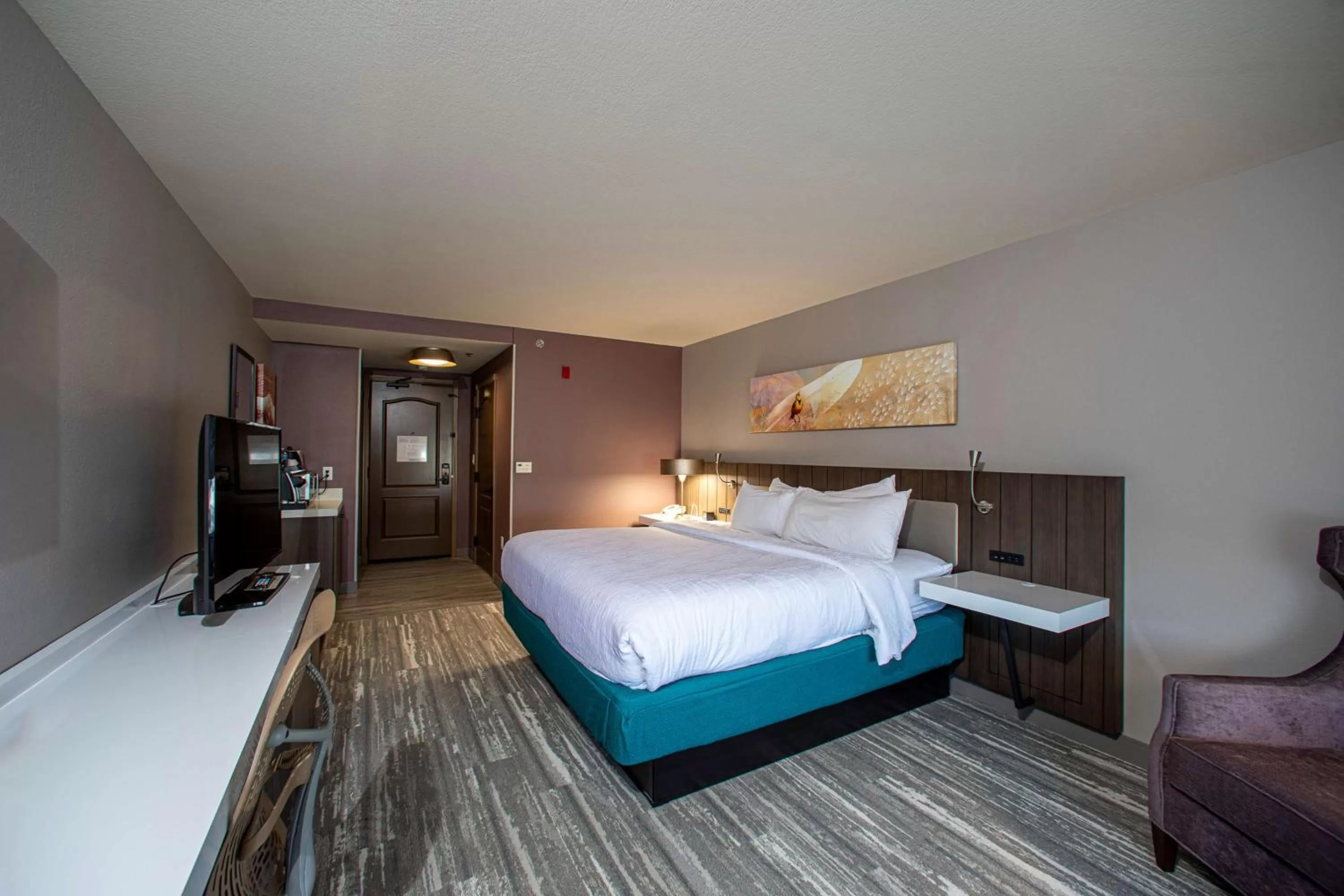 King Room in Hilton Garden Inn Rapid City