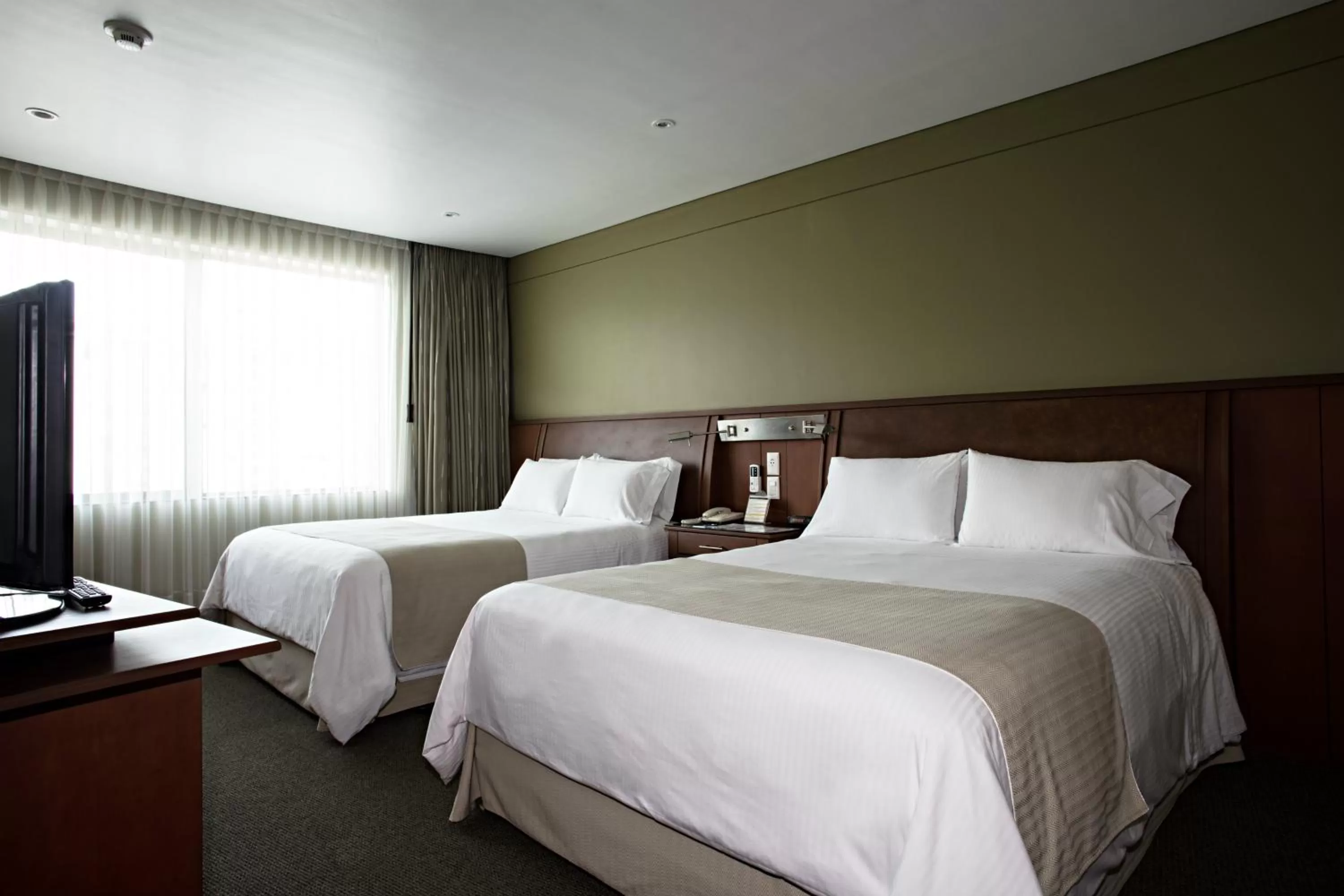 Family Suite in Suites Camino Real