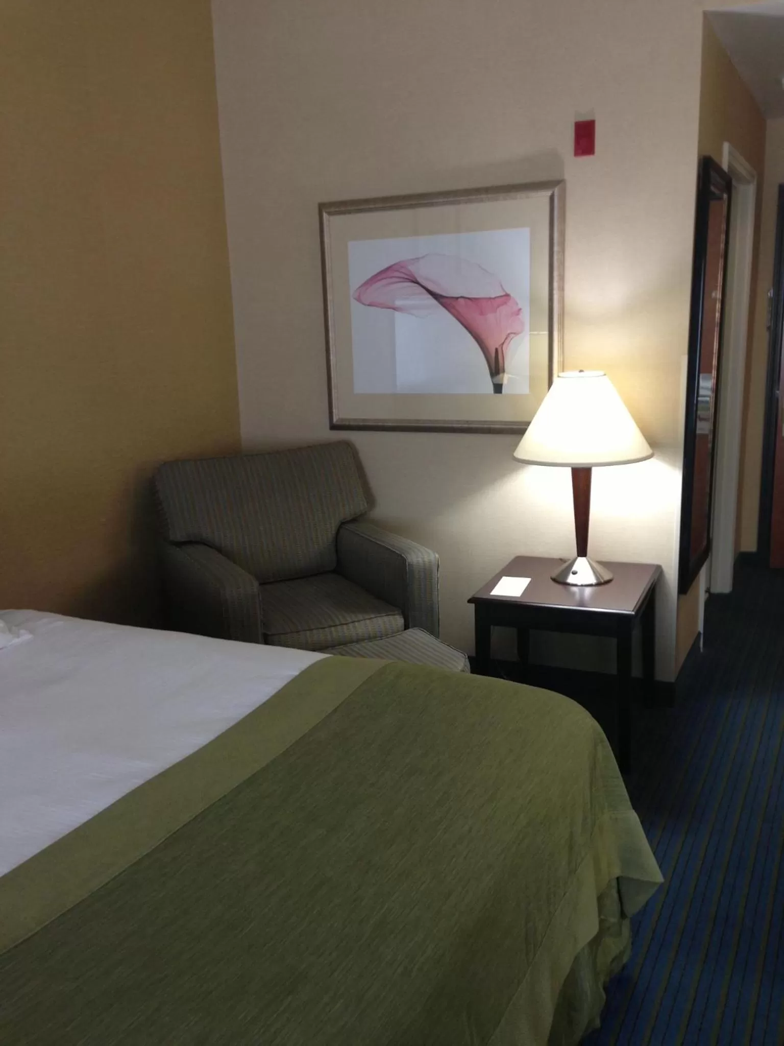 Deluxe Queen Room - Disability Access/Non-Smoking in Wingate by Wyndham - York