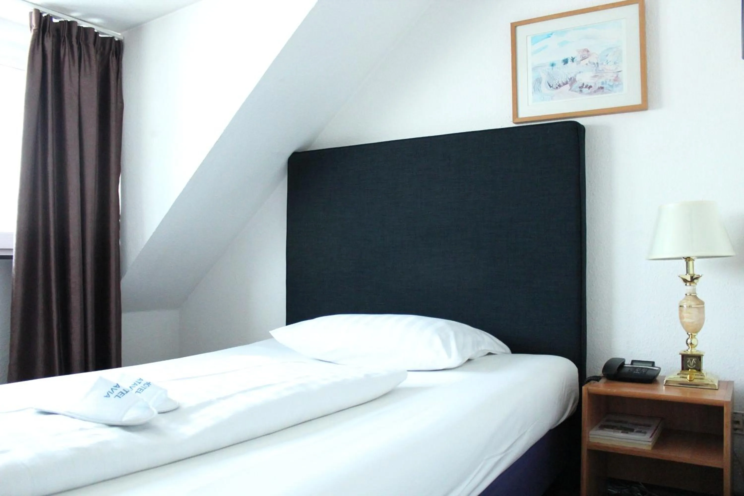 Single Room in Hotel Batavia