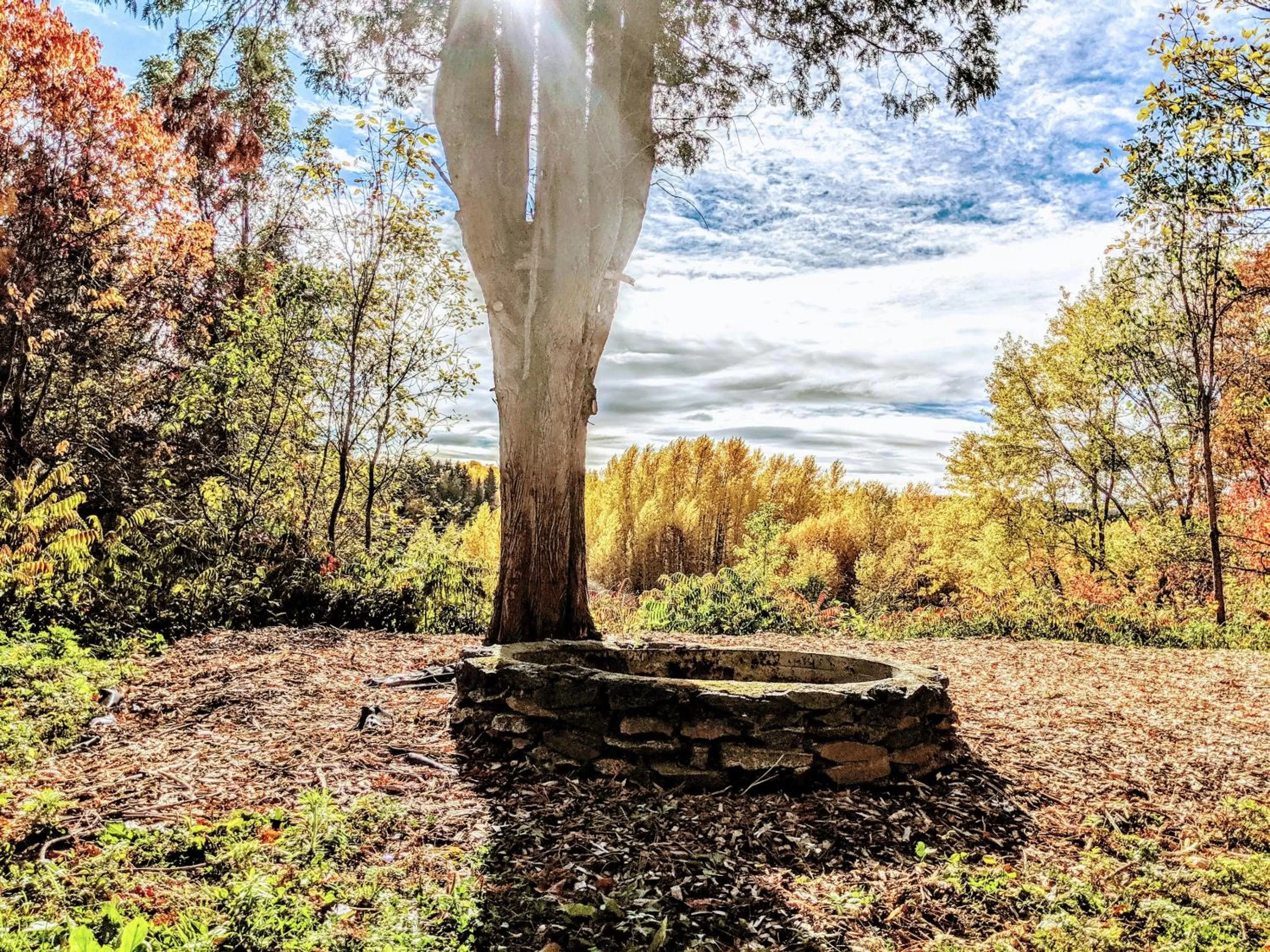 Premium Quadruple Room - single occupancy in Maison Zacharie