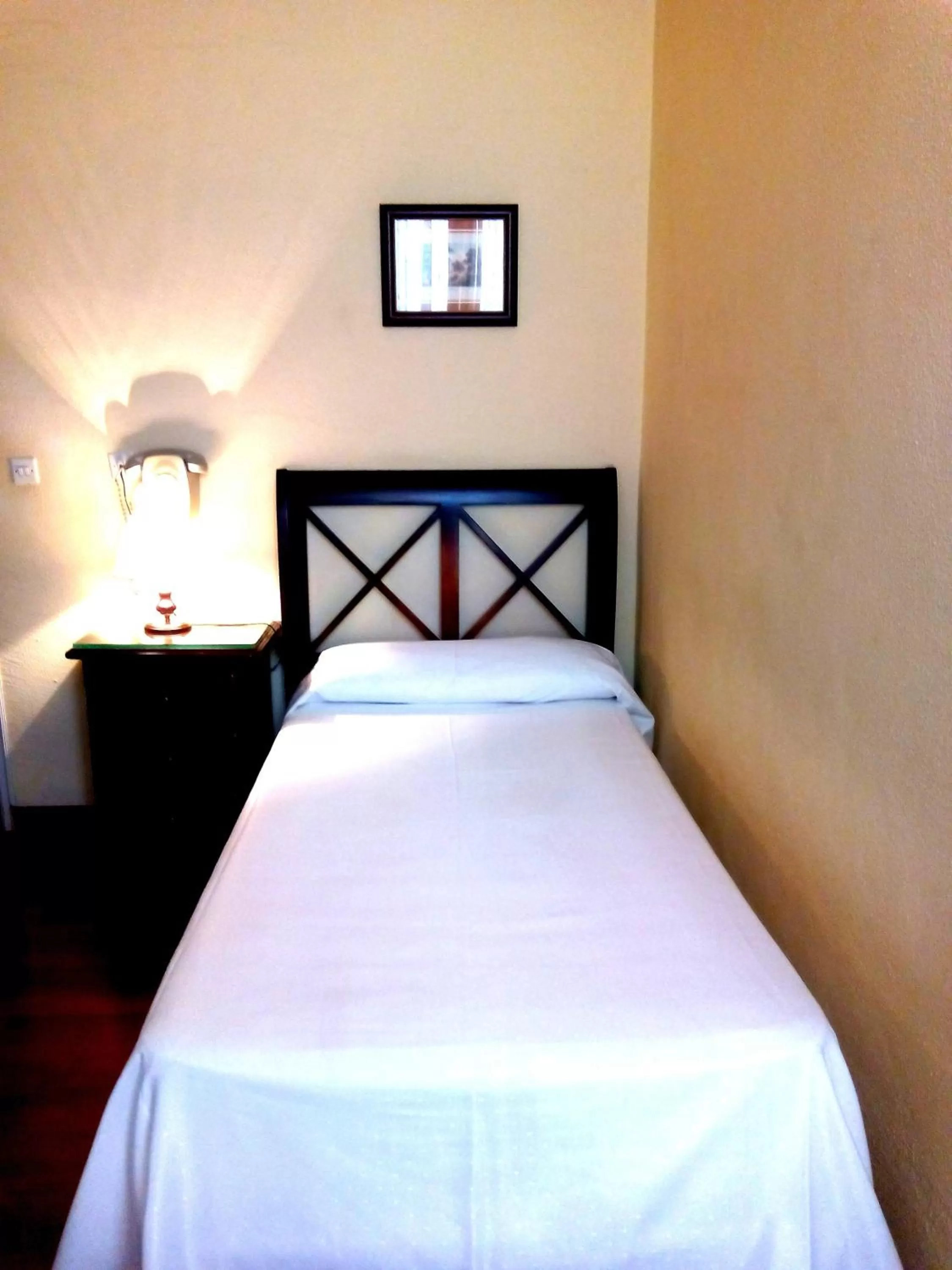 Single Room in Hotel Simon