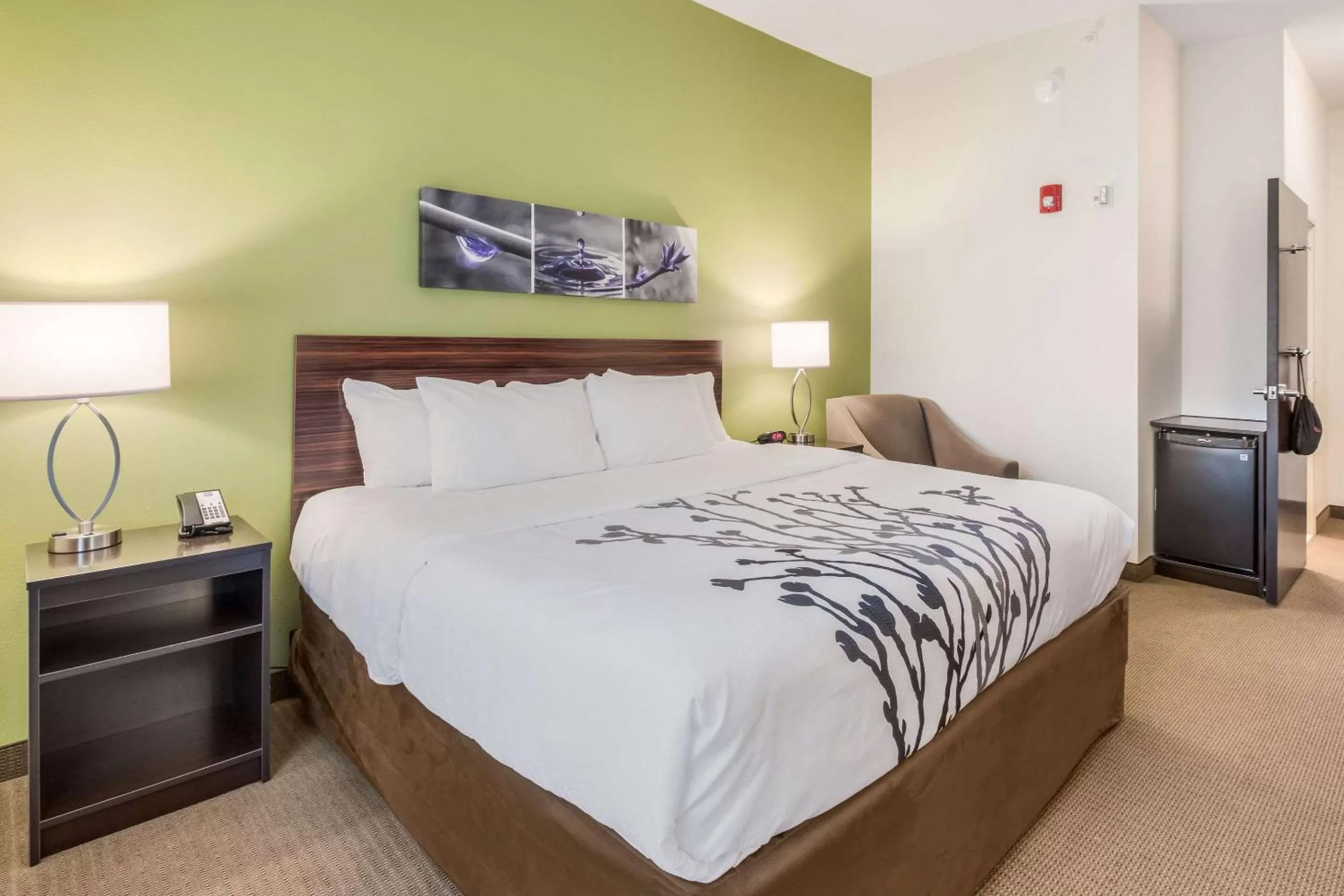 King Room - Accessible/Non-Smoking in Sleep Inn