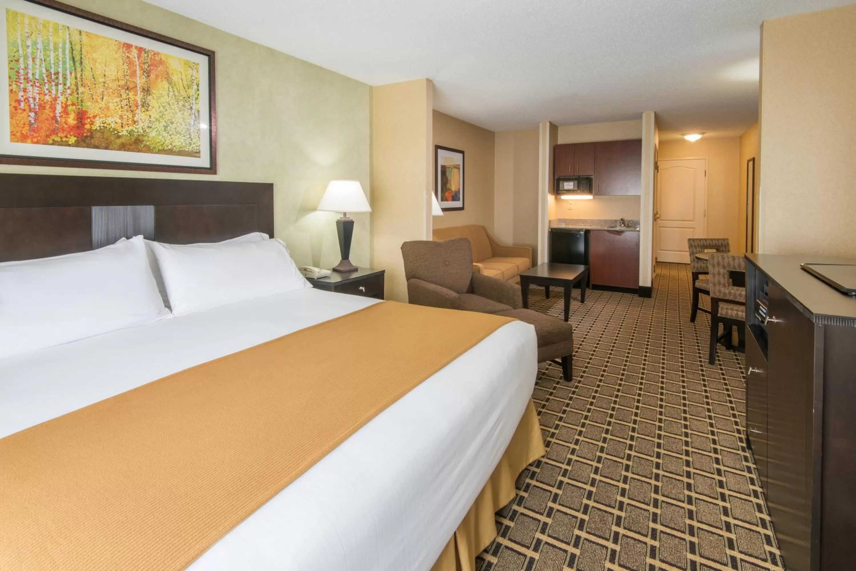 King Suite with Sofa Bed - Non-Smoking in Holiday Inn Express & Suites - Sharon-Hermitage by IHG
