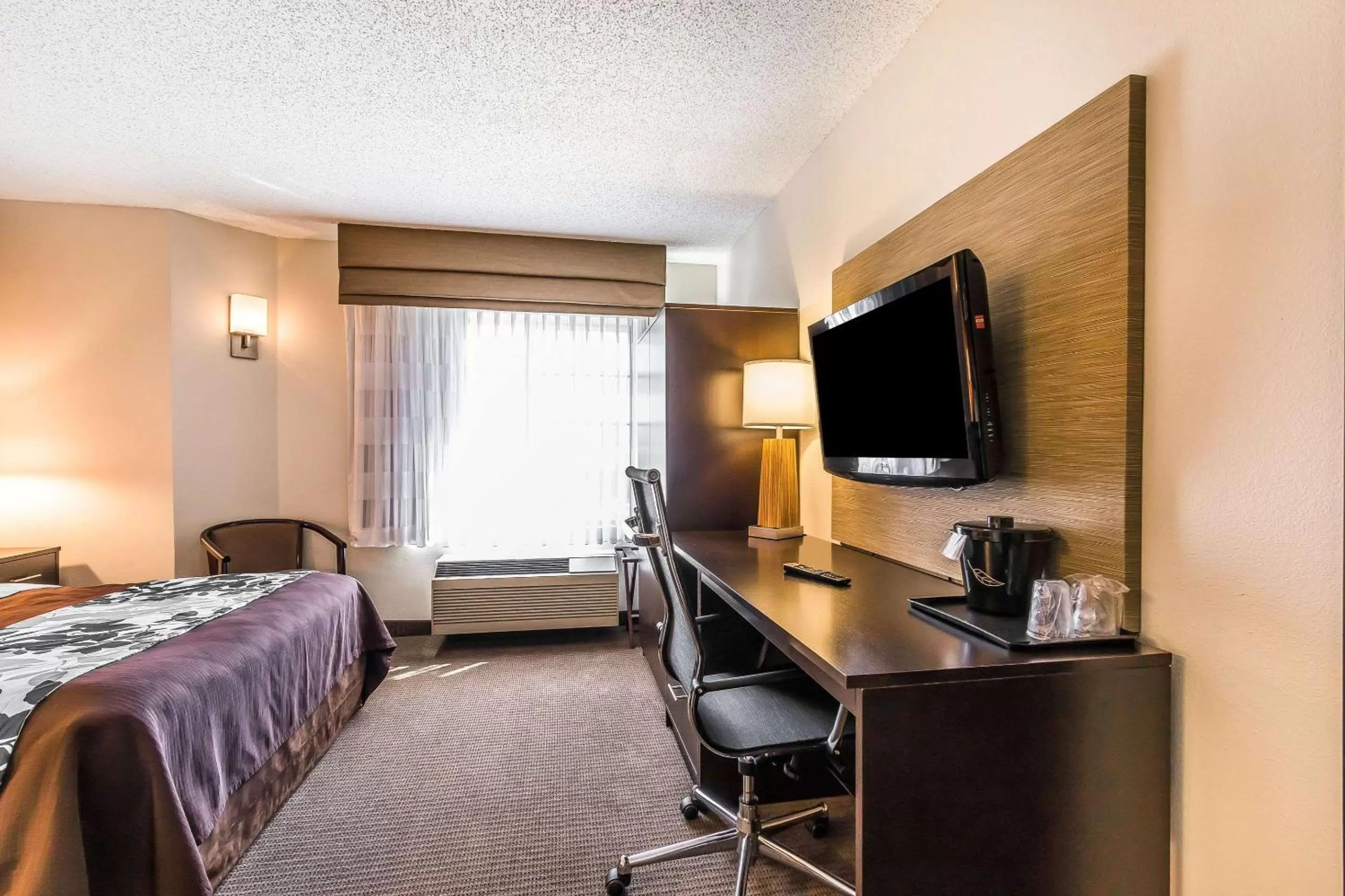 Business Room - Non-Smoking in Sleep Inn Springfield South I60 near Medical District