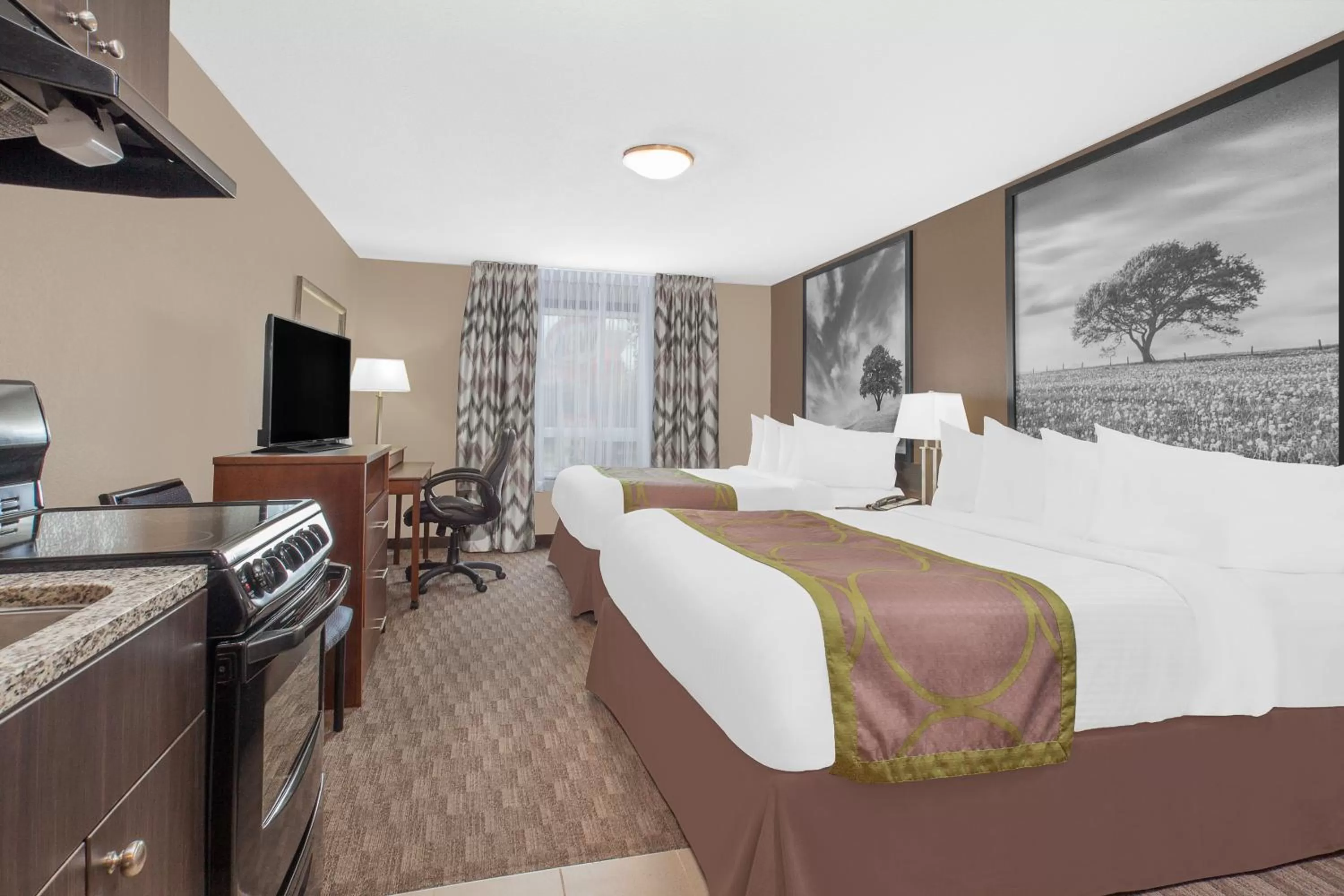 Queen Studio with Two Queen Beds - single occupancy - Non-Smoking in Super 8 by Wyndham Athabasca AB