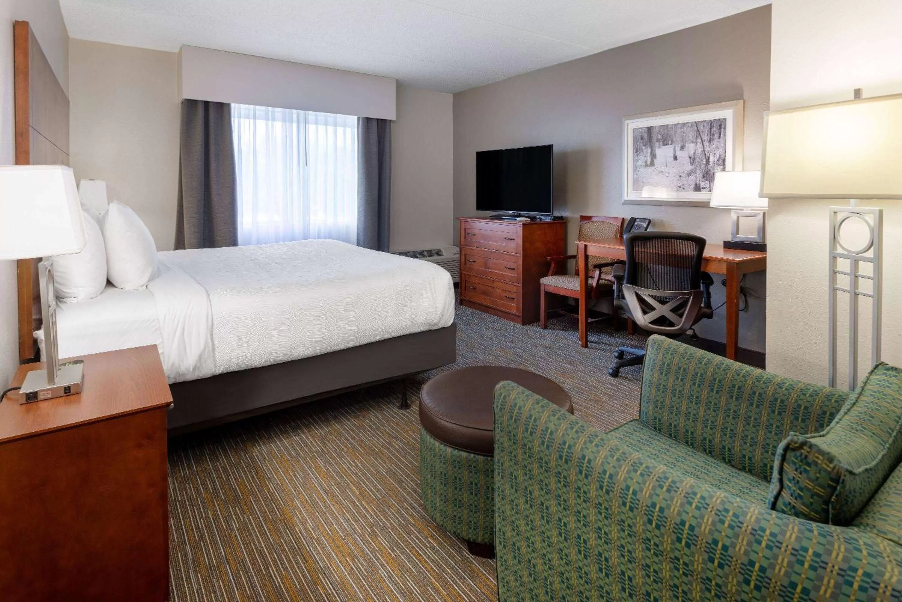 King Suite with City View - Mobility Access/Non-Smoking in Wingate by Wyndham Valdosta/Moody AFB