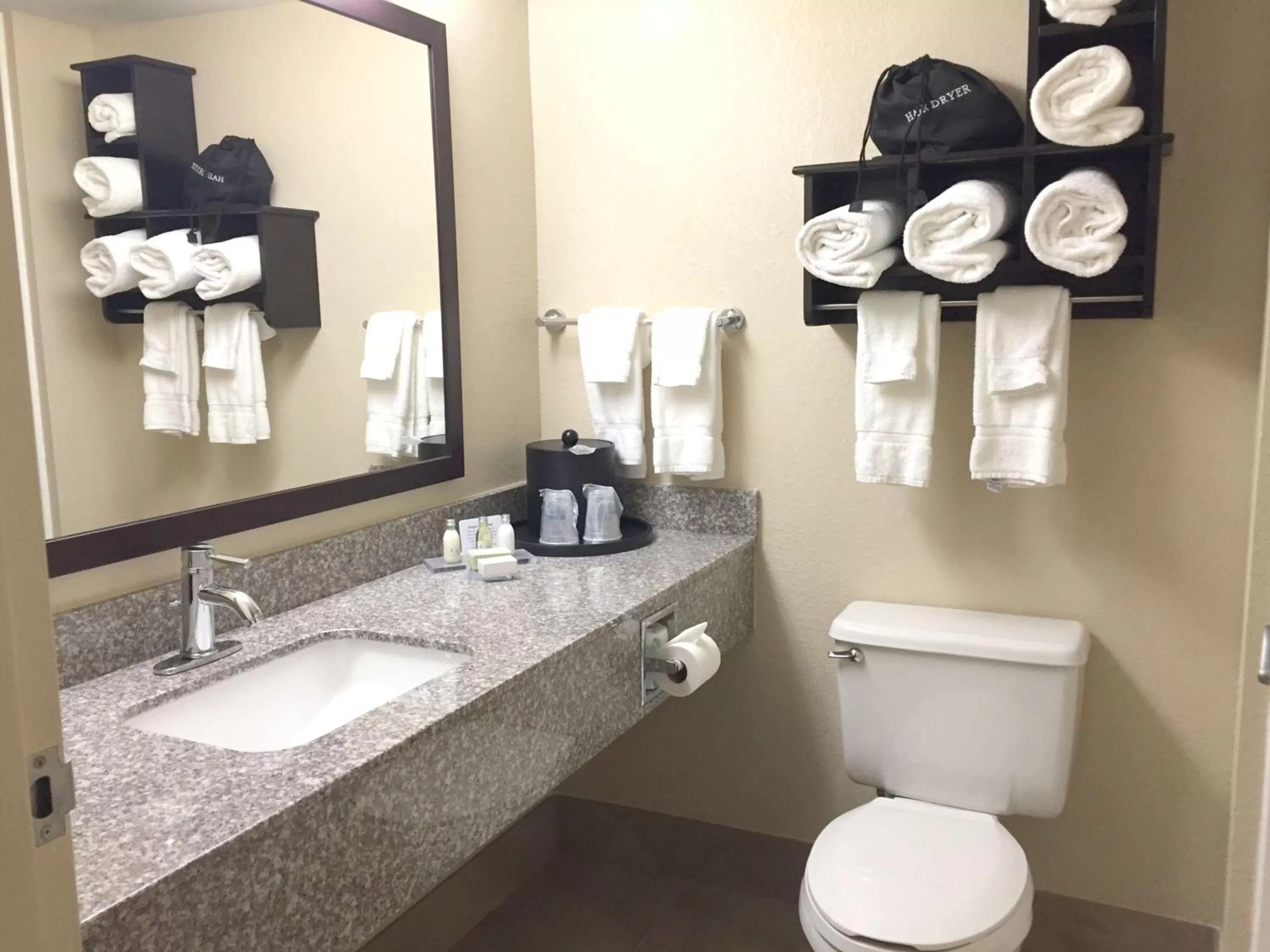 Queen Suite with Kitchenette- Non-Smoking in Best Western Plus Birmingham Inn & Suites