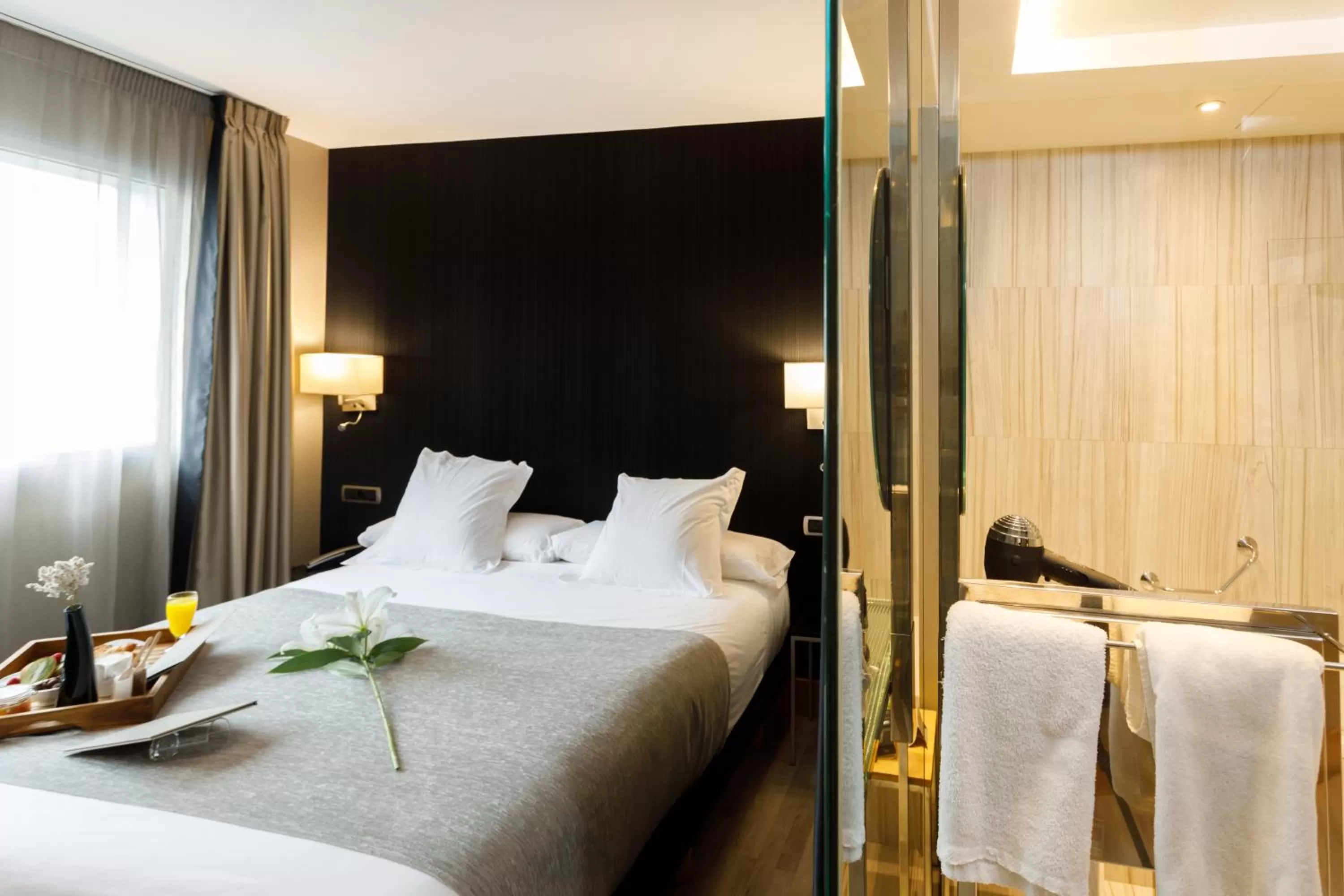 Queen Room with City View in Hotel Plaza