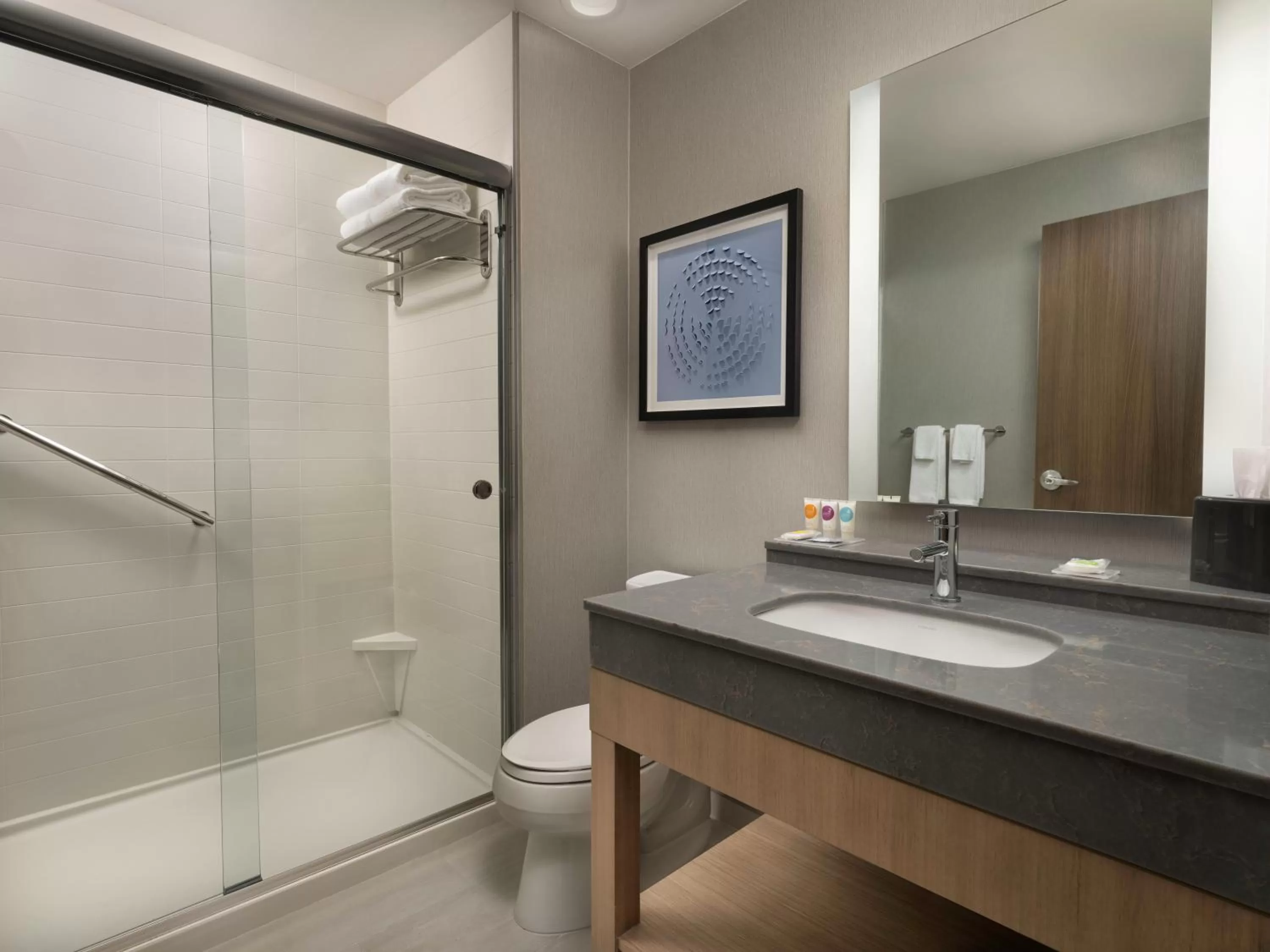 King Room with Sofa Bed in Hyatt Place Amarillo-West