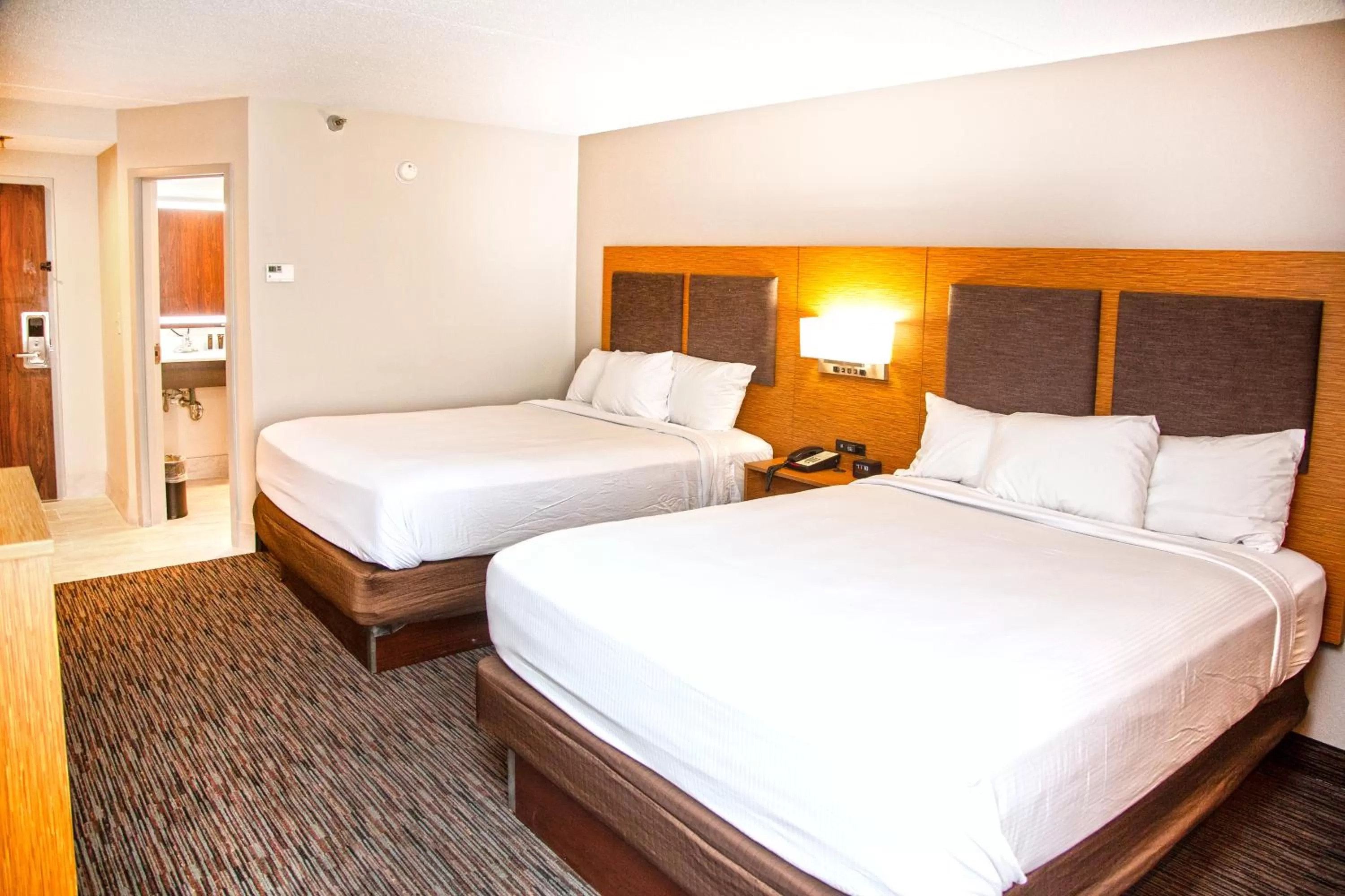 Studio with 2 Queen Beds - Non-Smoking in MainStay Suites Springfield IL