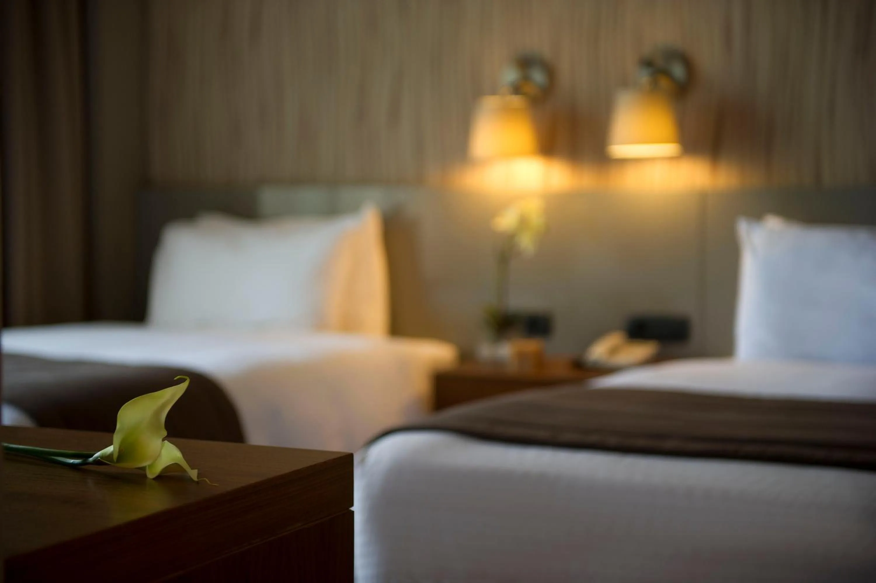 Two-Bedroom Suite in ParkTower Suites