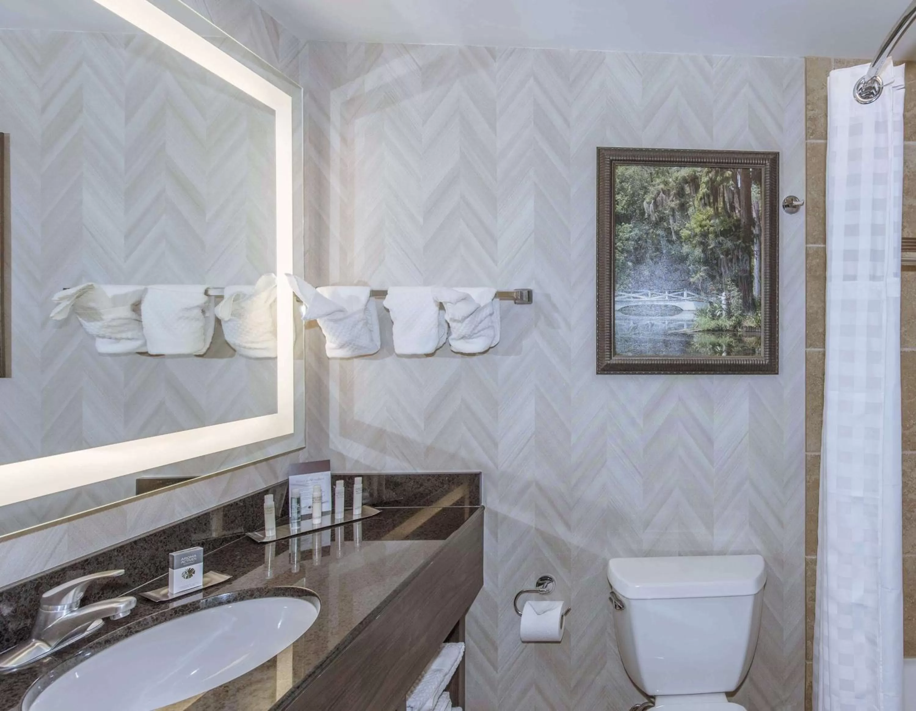 King Room - Disability Access with Tub - Non-Smoking in DoubleTree by Hilton North Charleston - Convention Center