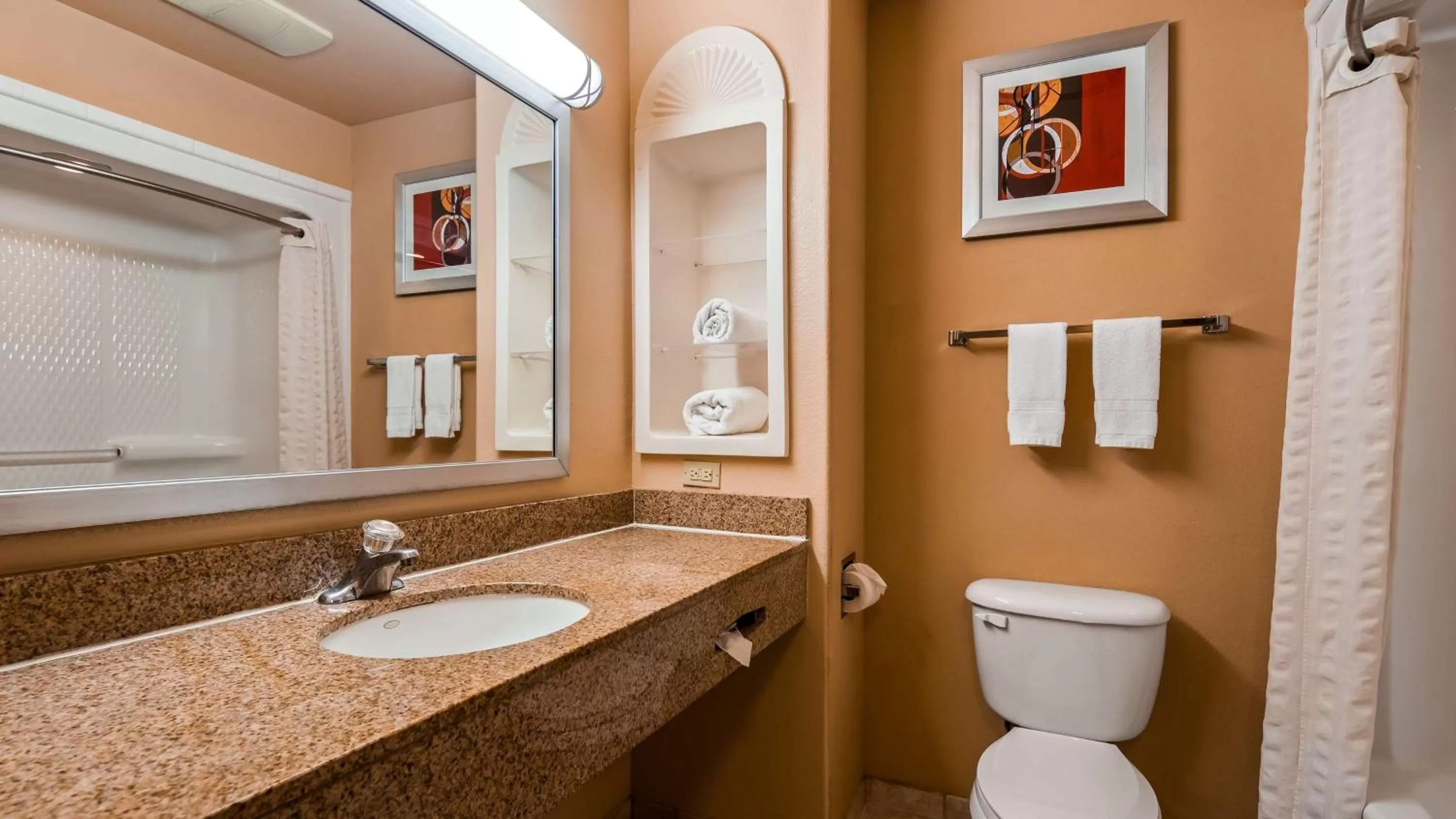 King Room with Kitchenette - Non-Smoking in Best Western Plus The Woodlands