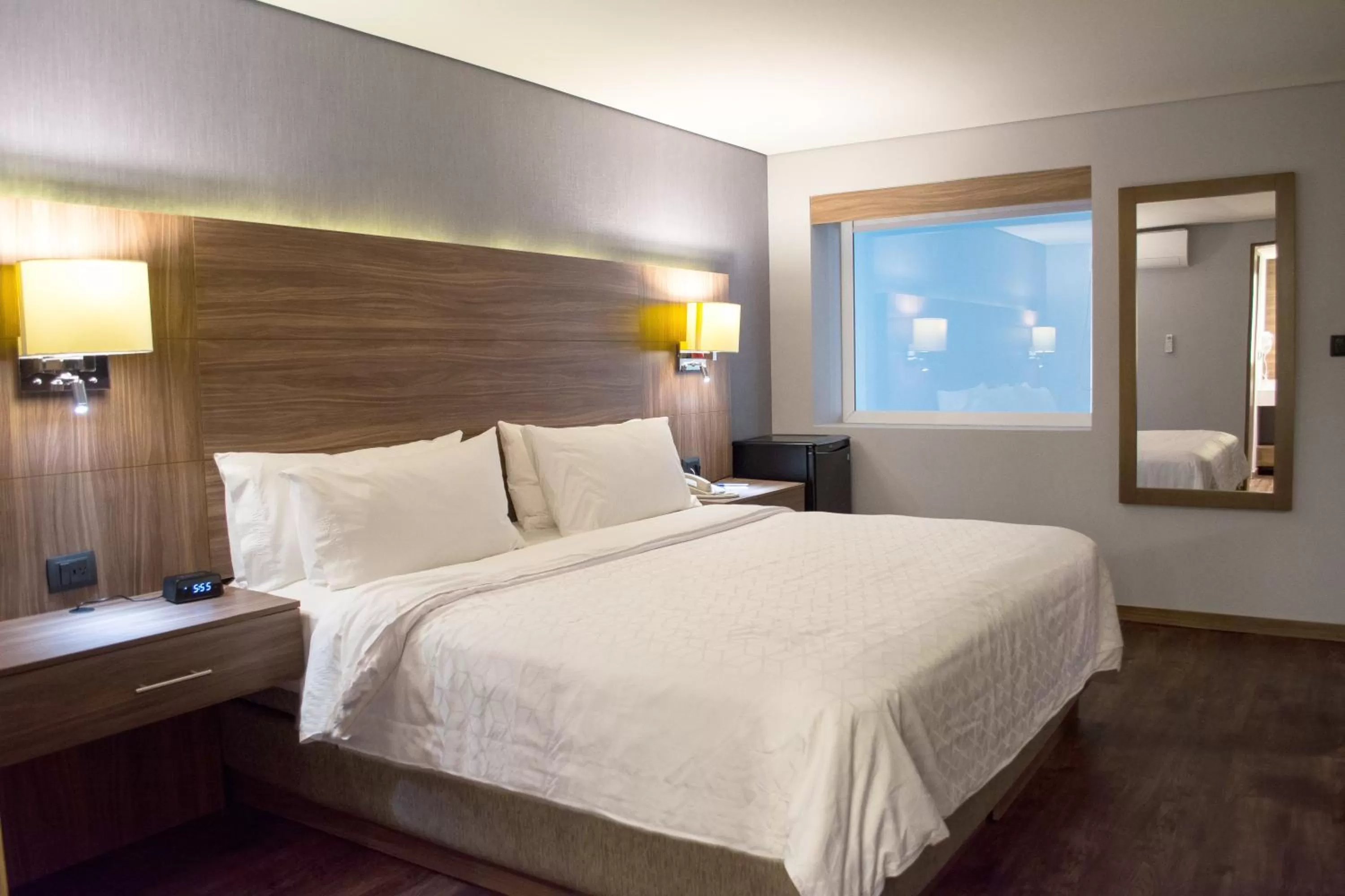 Standard King Room in Holiday Inn Express Morelia by IHG