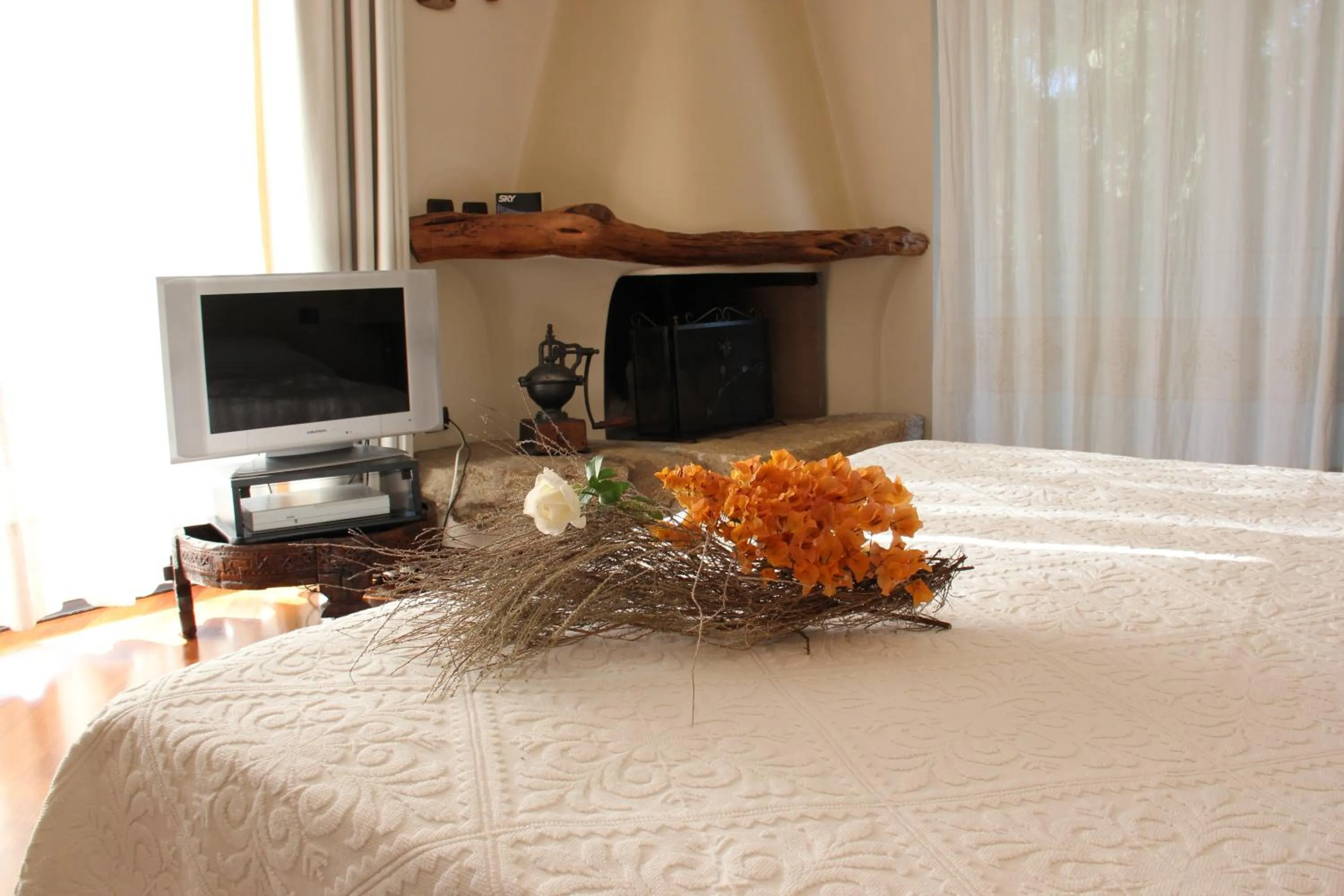 Superior Suite in Hotel Simius Playa