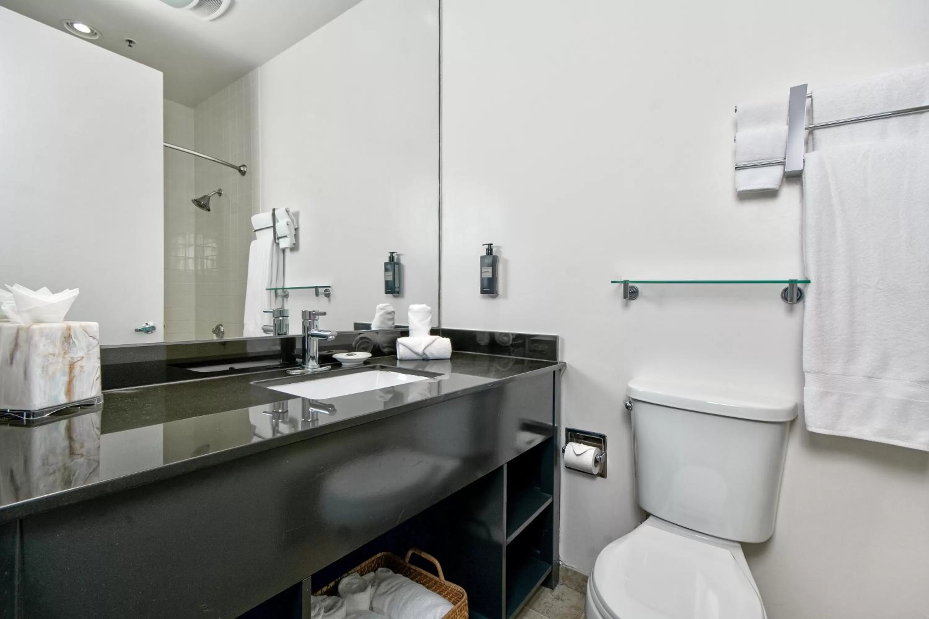 Executive Suite in Hotel Griffon