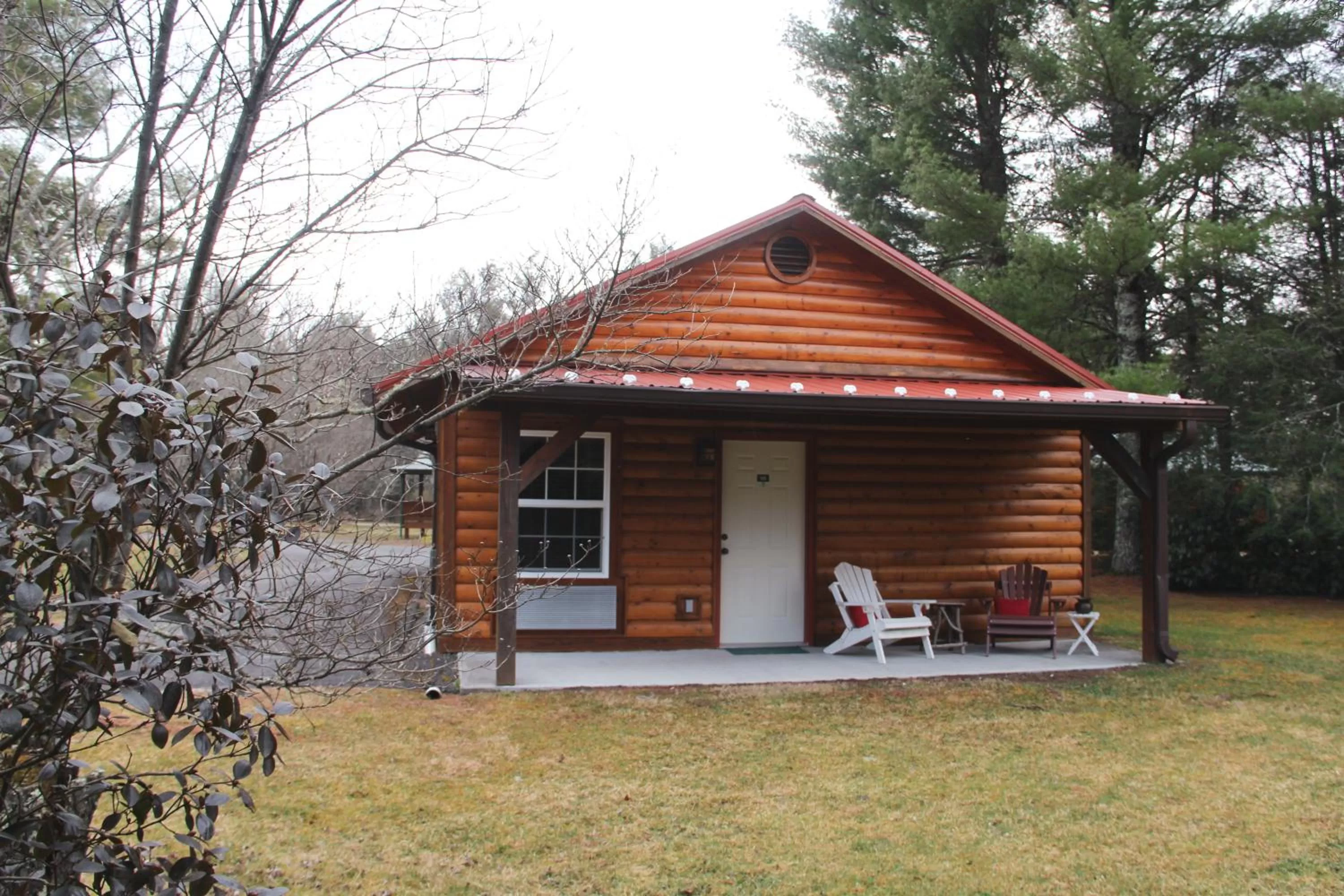 The Pineola