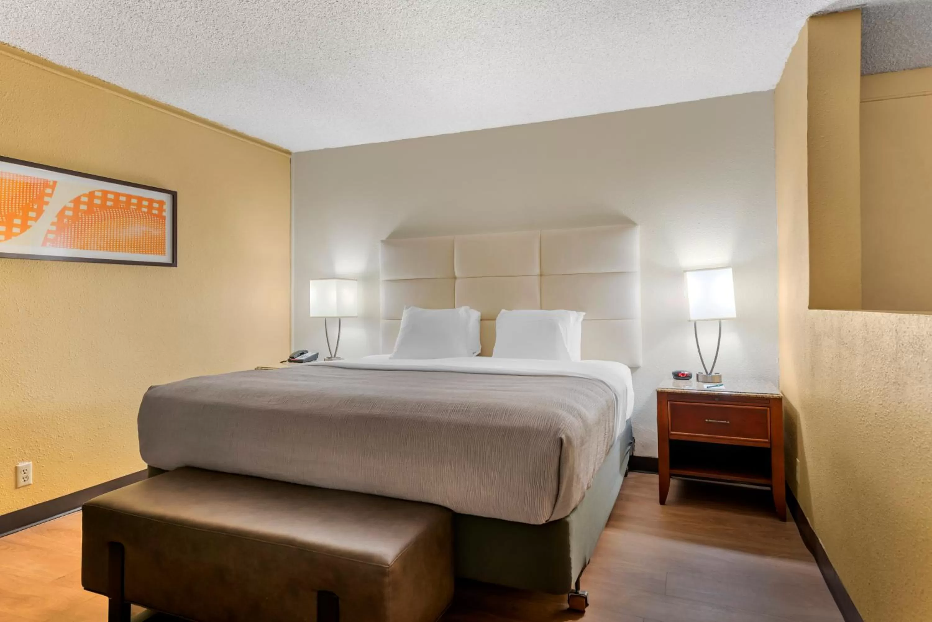 King Suite - Non Smoking in Quality Inn Alamosa