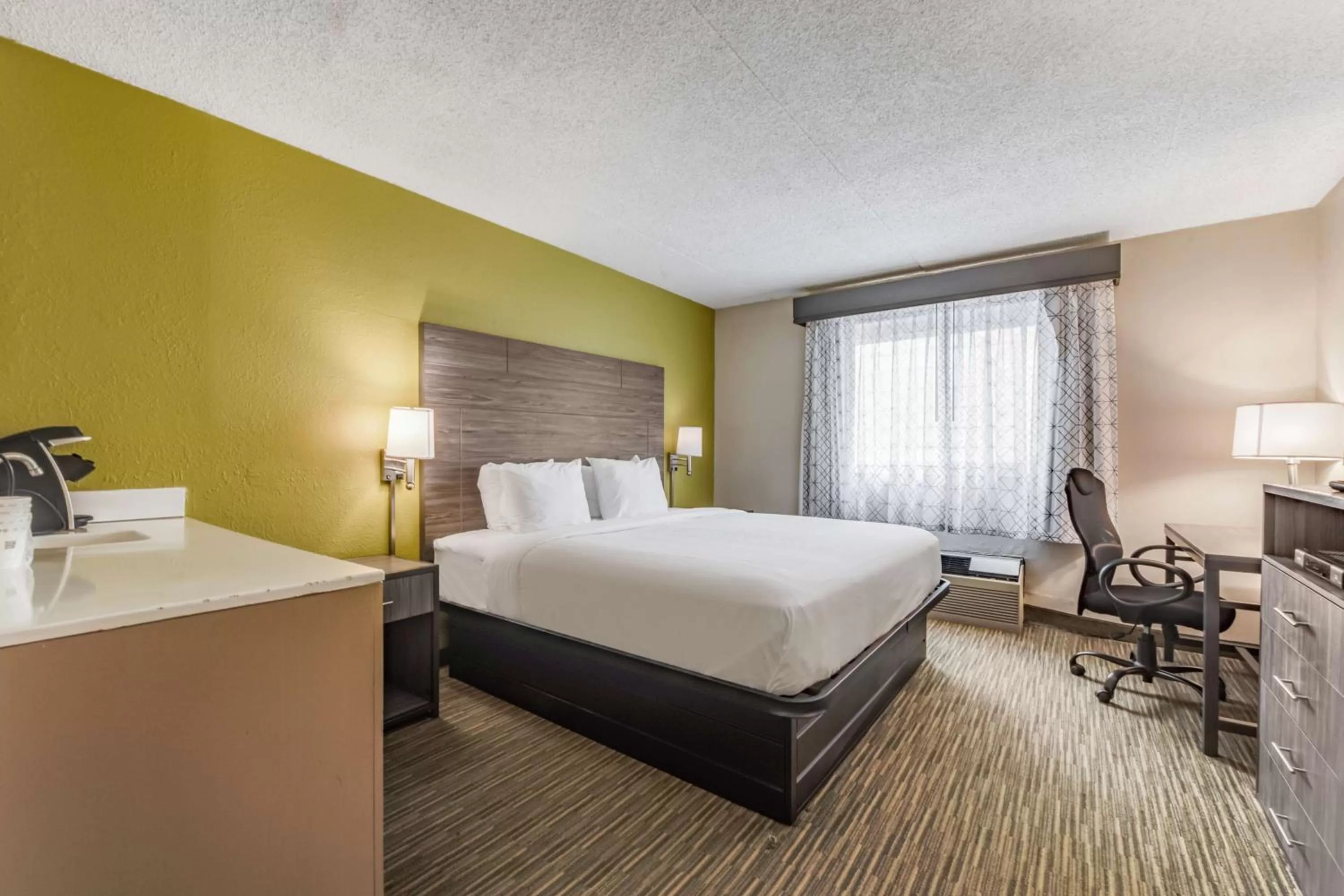 King Room - Pet-Friendly in SureStay Plus Hotel by Best Western McGuire AFB Jackson