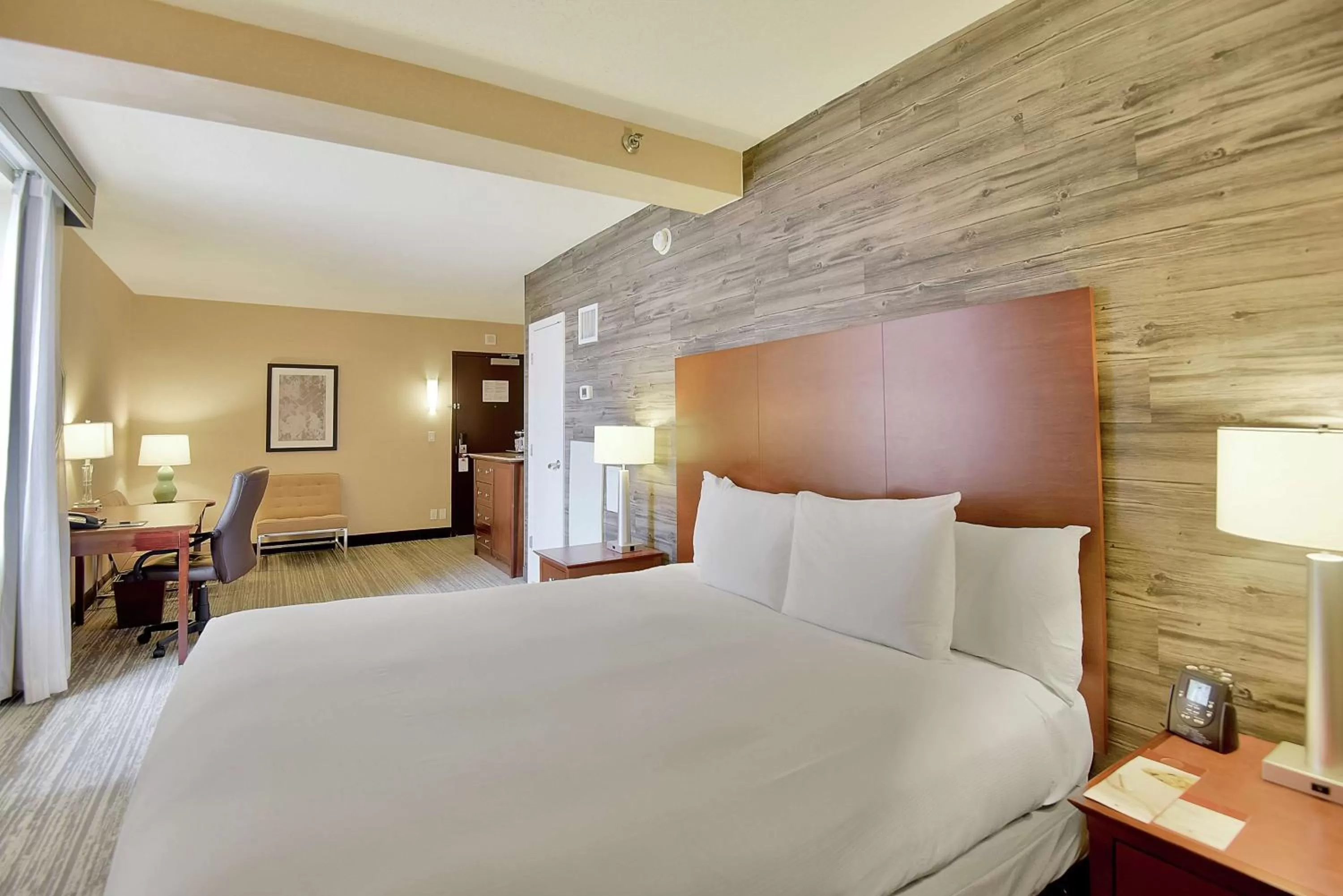 King Room with Roll-In Shower - Mobility Access in DoubleTree by Hilton Hotel & Suites Houston by the Galleria