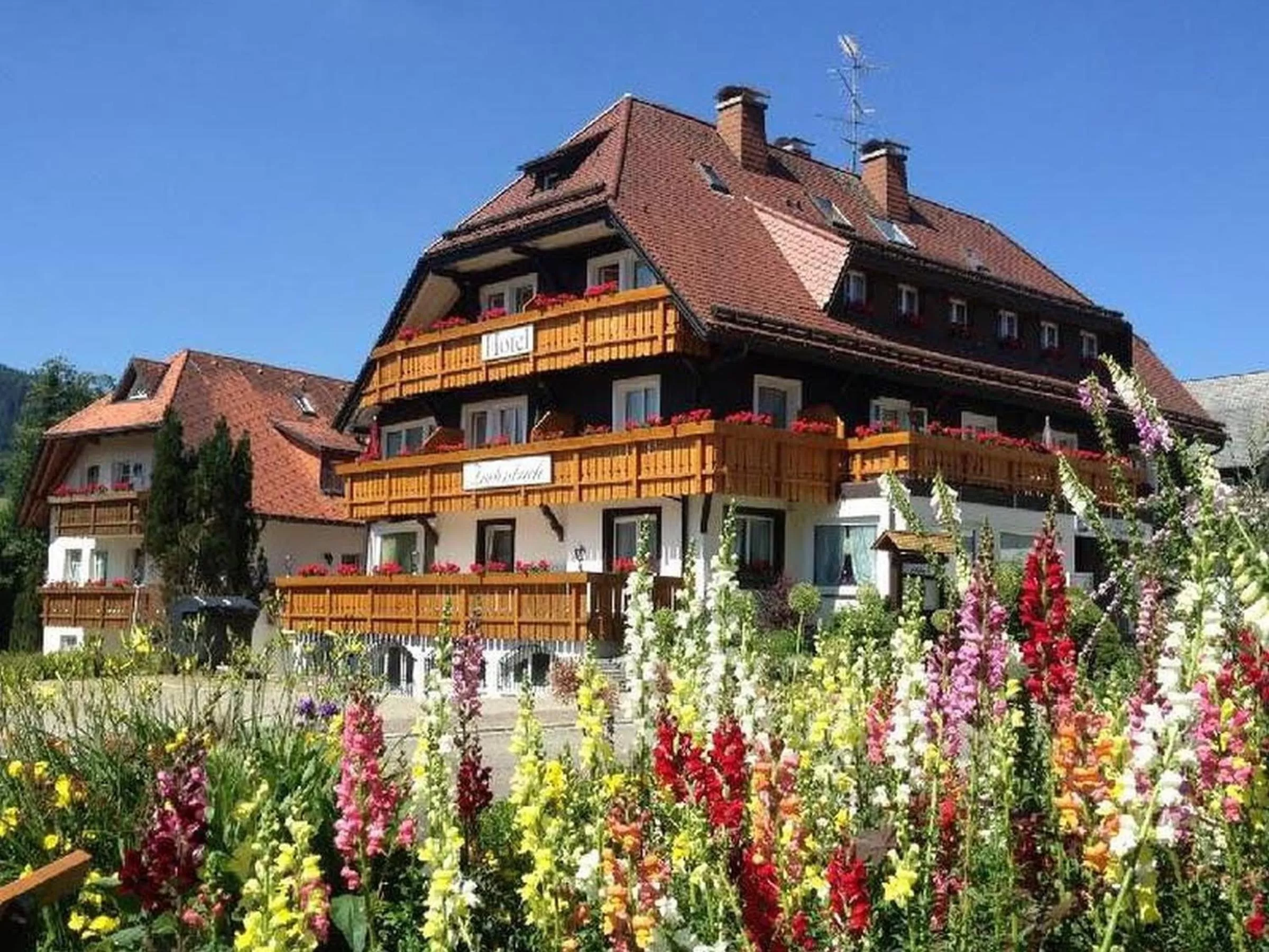 Hotel Zartenbach
