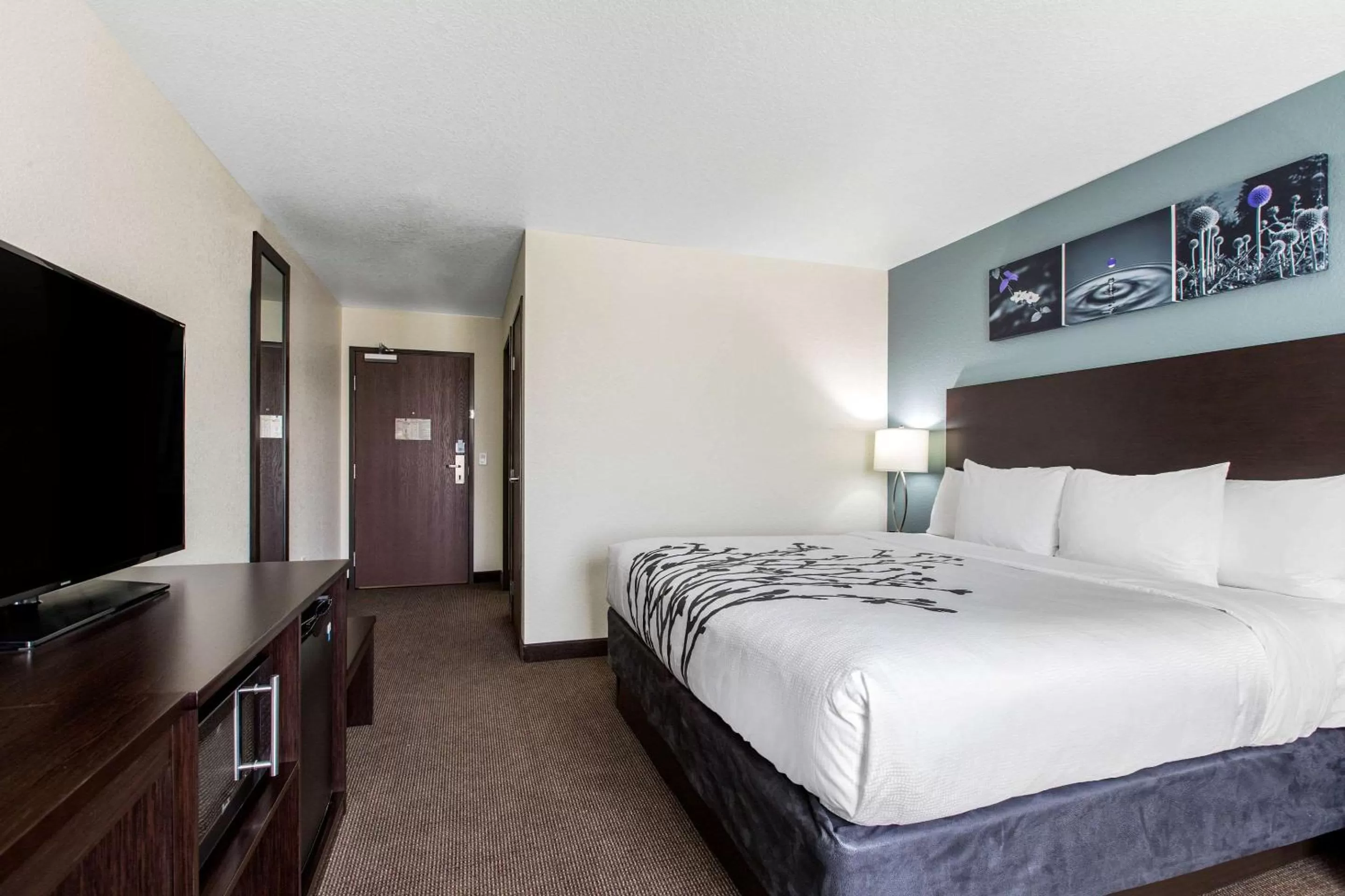 King Room - Non-Smoking in Sleep Inn & Suites Ankeny - Des Moines