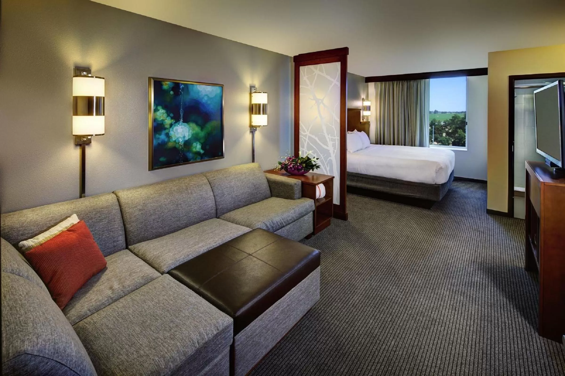 King Room with Sofa Bed and Roll-In Shower - Disability Access in Hyatt Place UC Davis