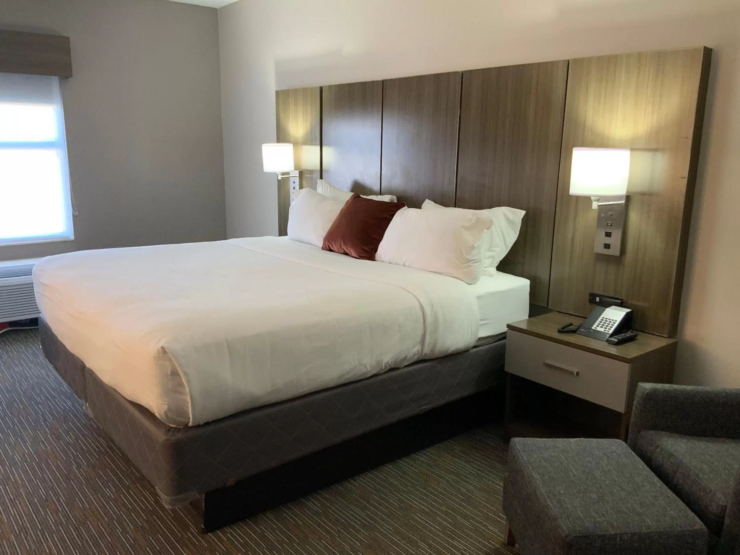 King Studio Suite - Non-Smoking in Wingate by Wyndham Jackson Ridgeland