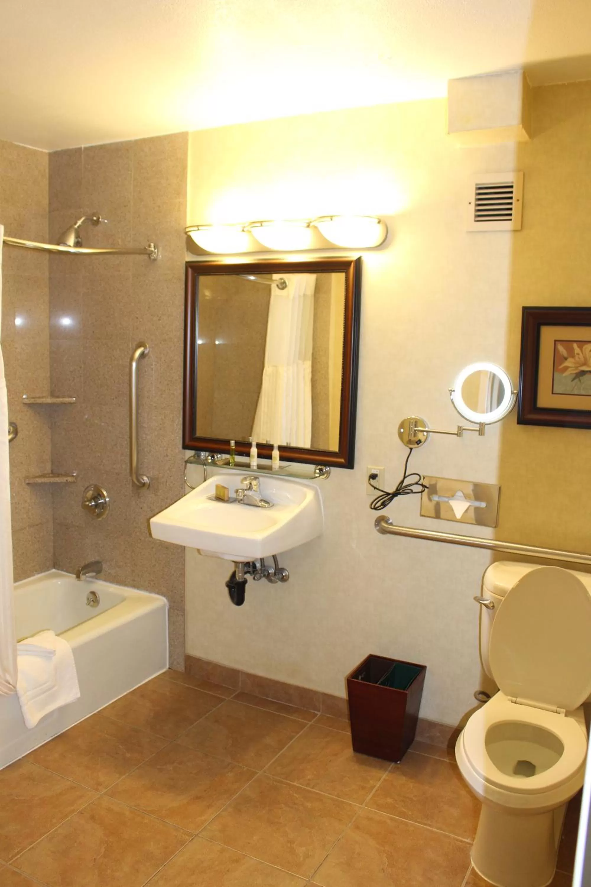 Queen Room - Disability Access in Premiere Suites