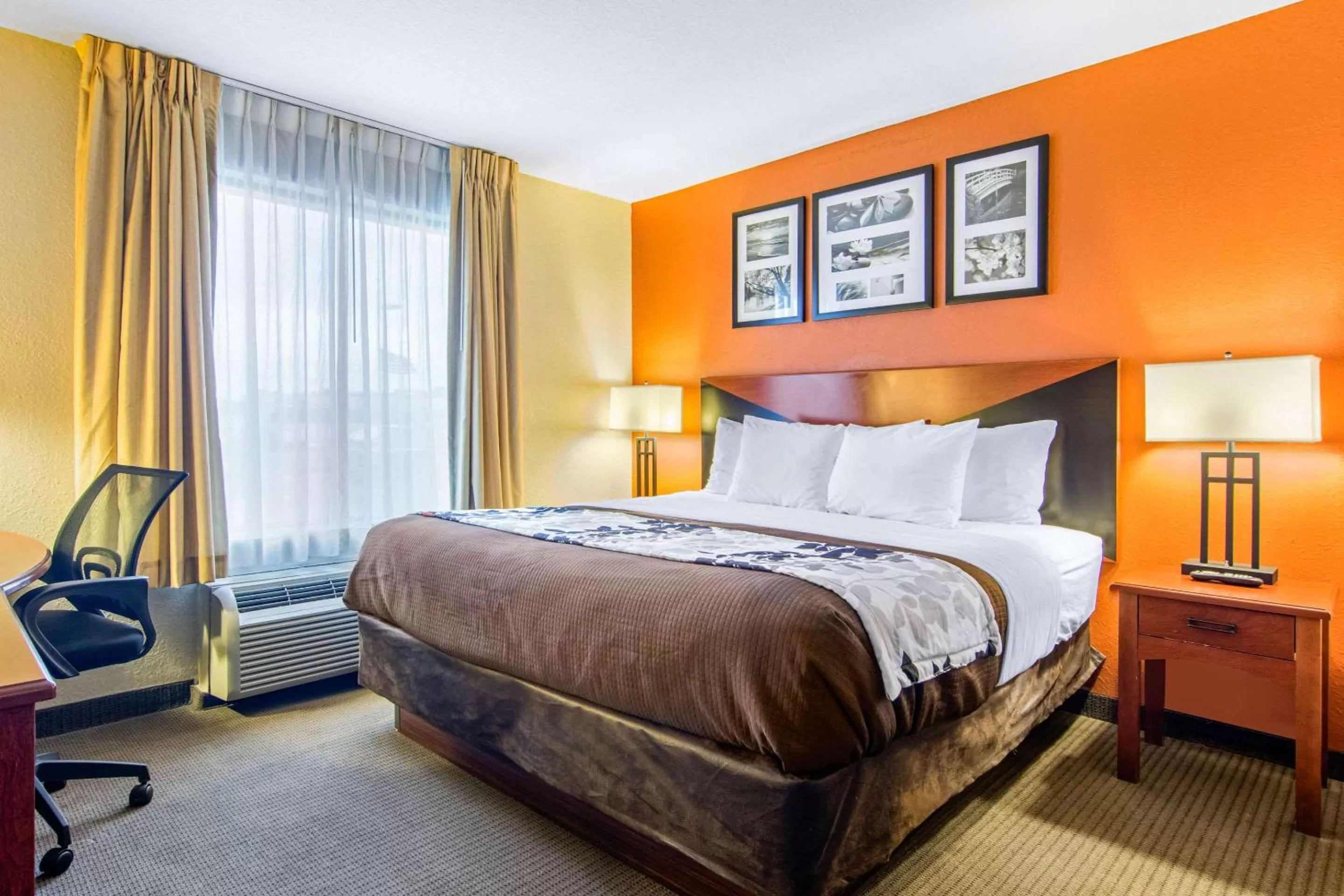 King Suite with Sofa Bed - Non Smoking/Pet Friendly in Sleep Inn & Suites Athens South